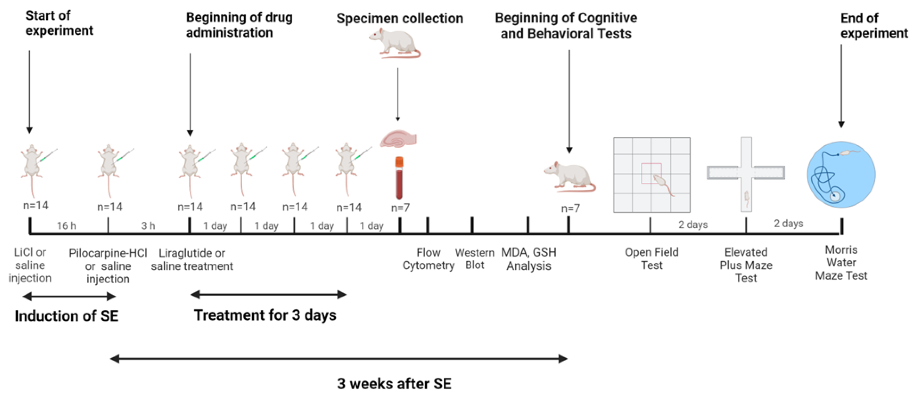 Biomedicines 12 02205 g001