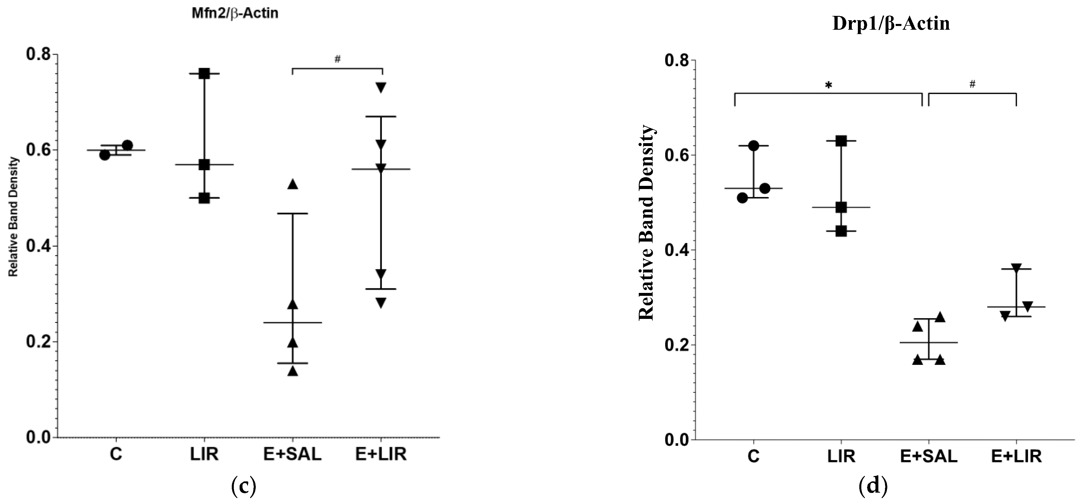 Biomedicines 12 02205 g005b