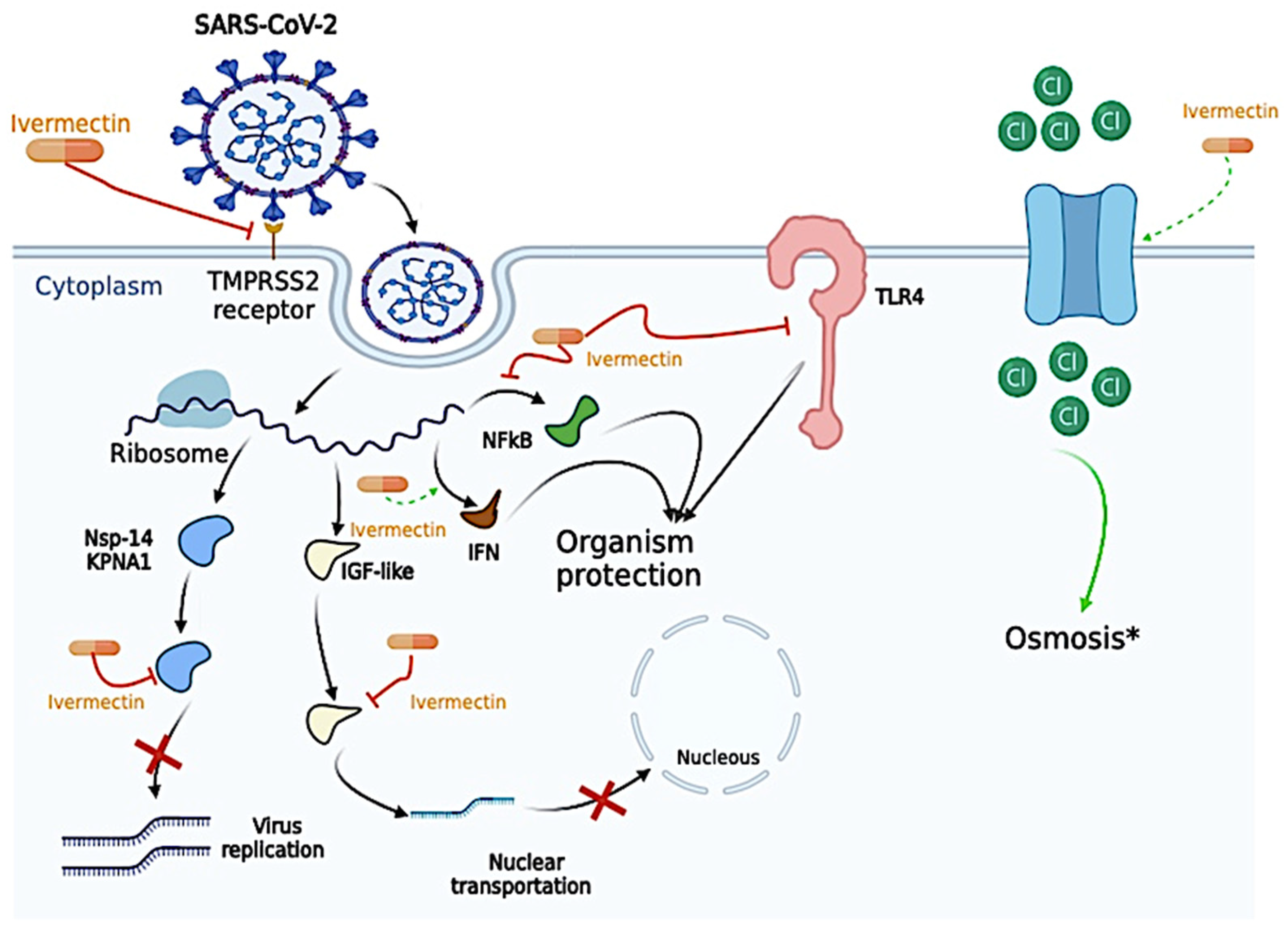 Efficacy of Ivermectin Chloroquine Hydroxychloroquine and  