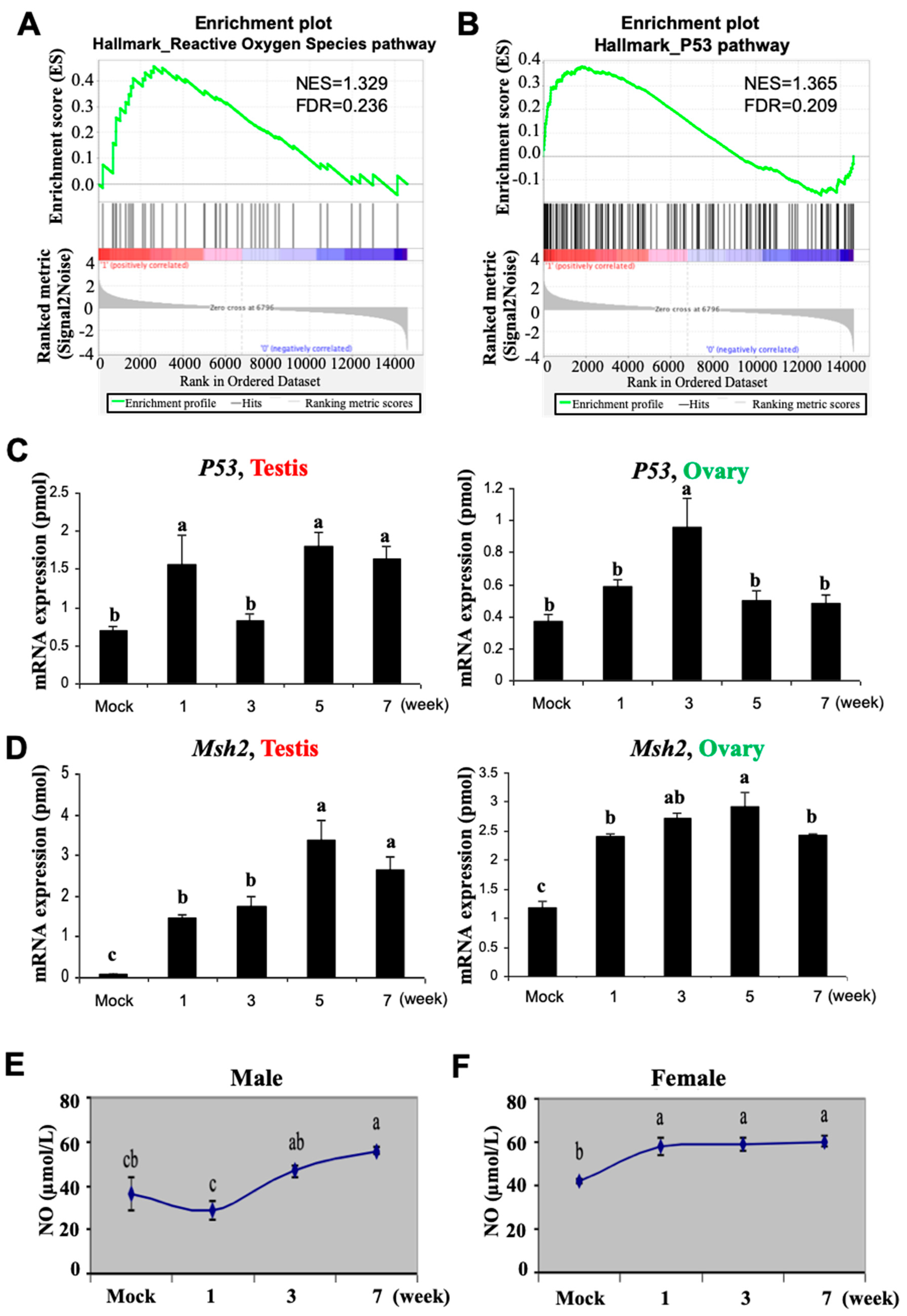 Biomedicines 12 02220 g002