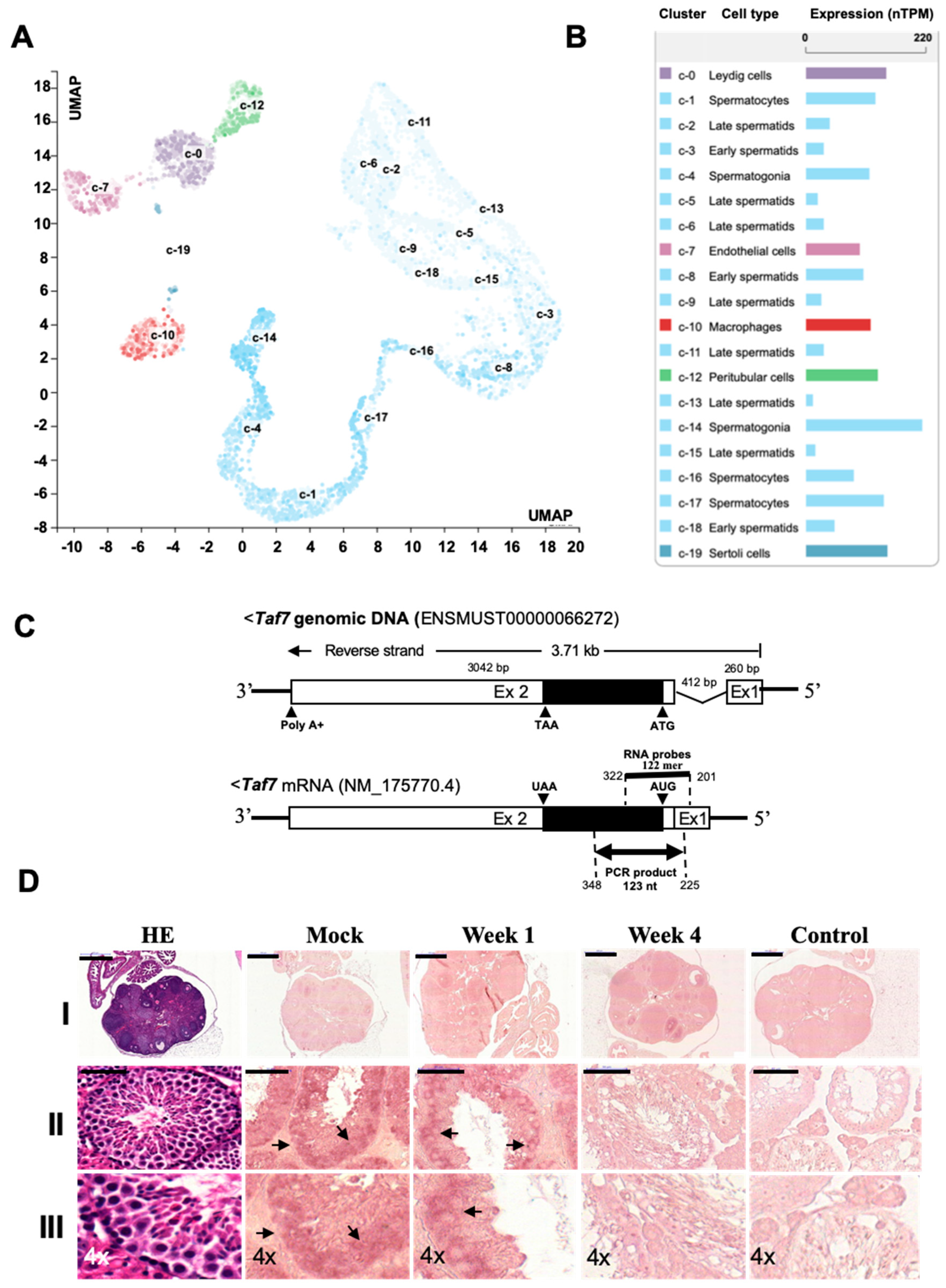 Biomedicines 12 02220 g005