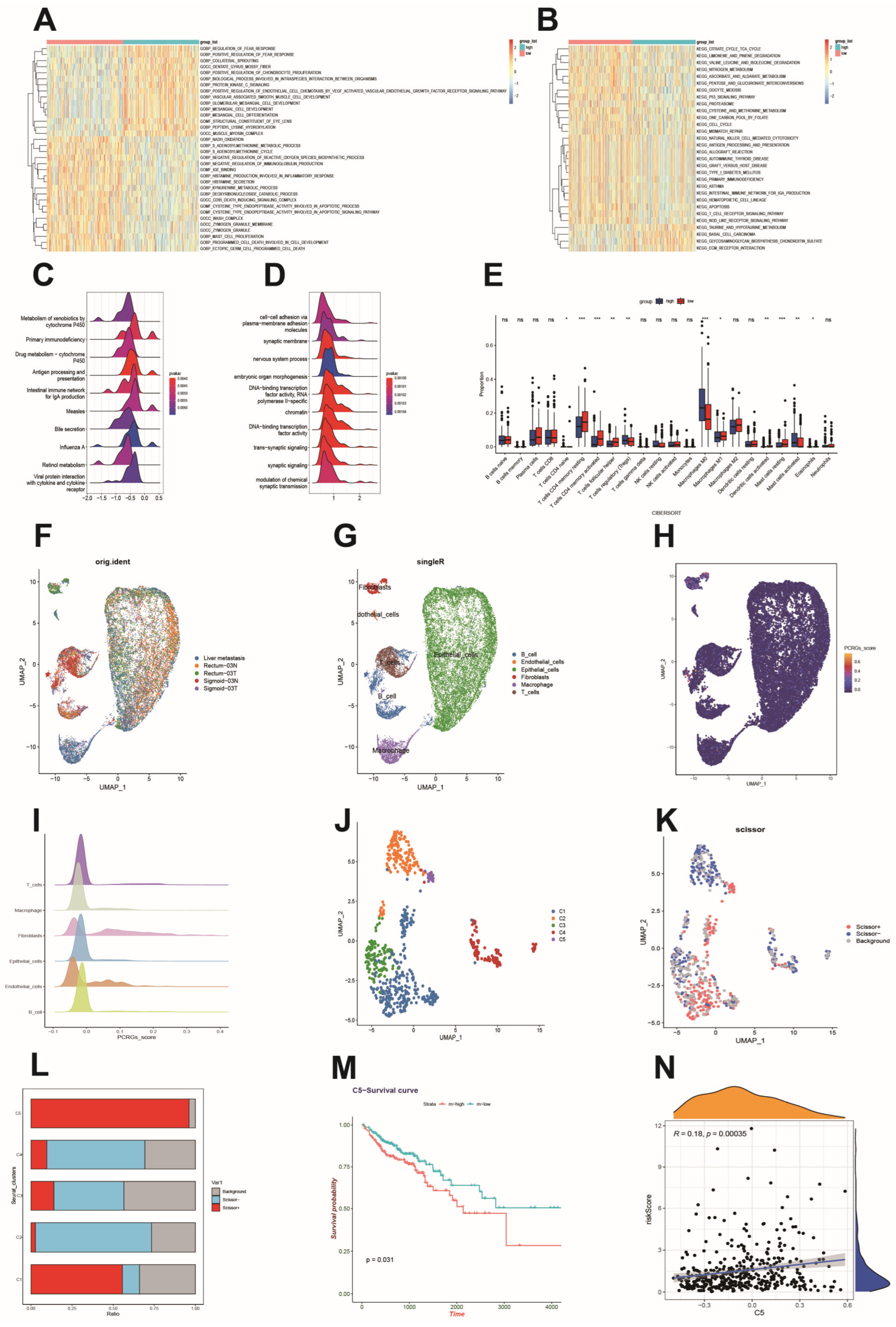 Biomedicines 12 02225 g003