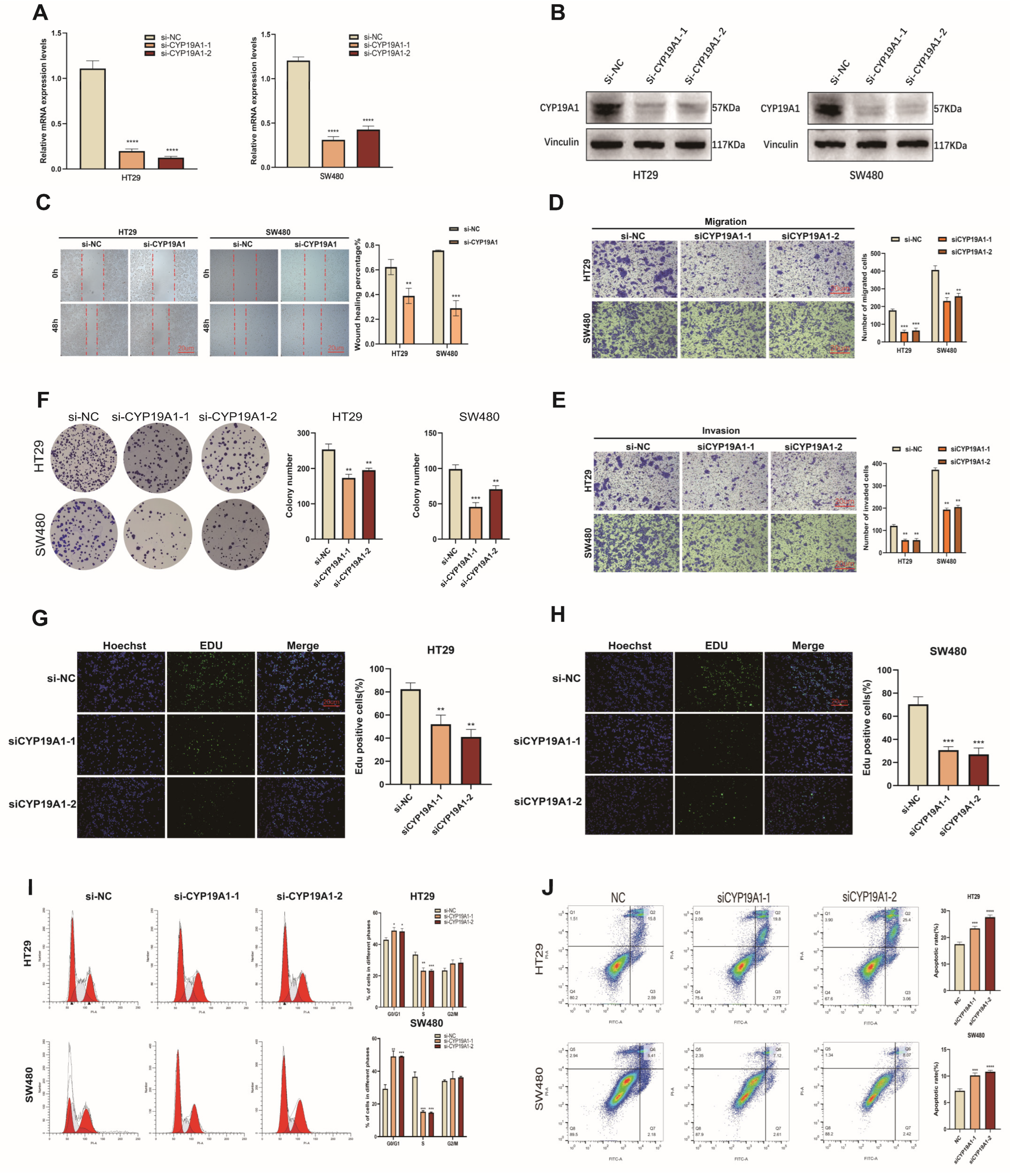 Biomedicines 12 02225 g005