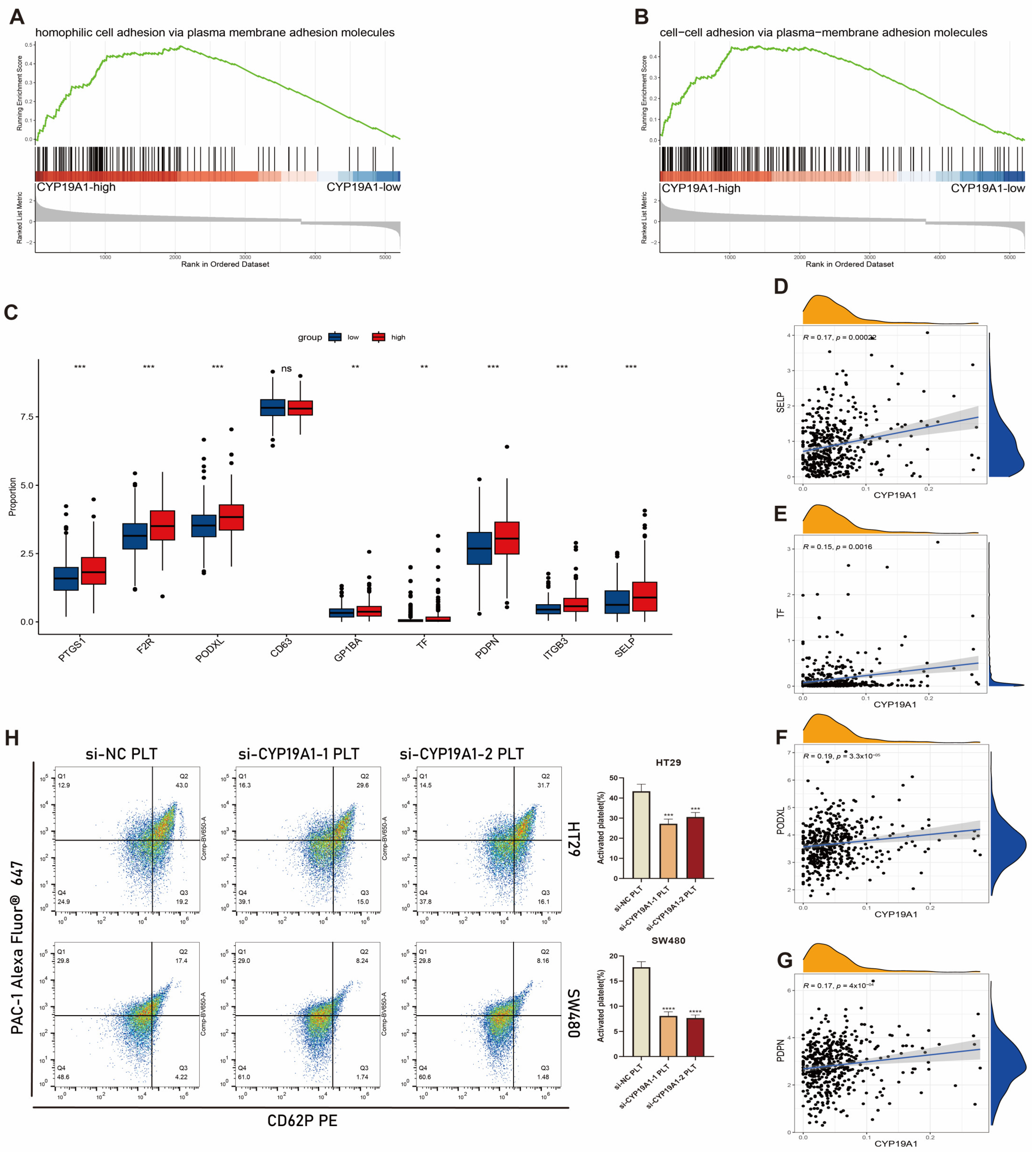 Biomedicines 12 02225 g007