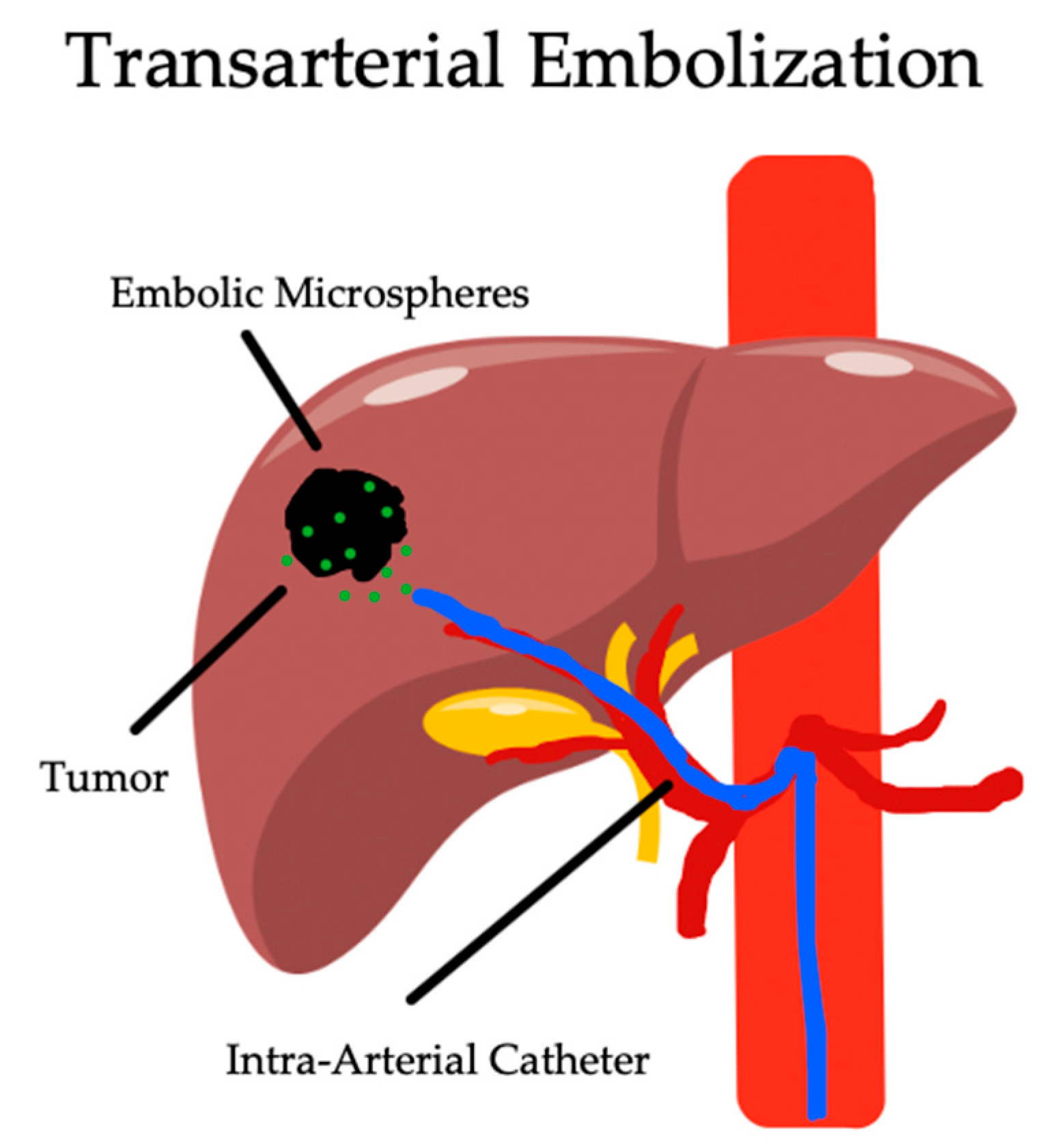 Biomedicines 12 02226 g002