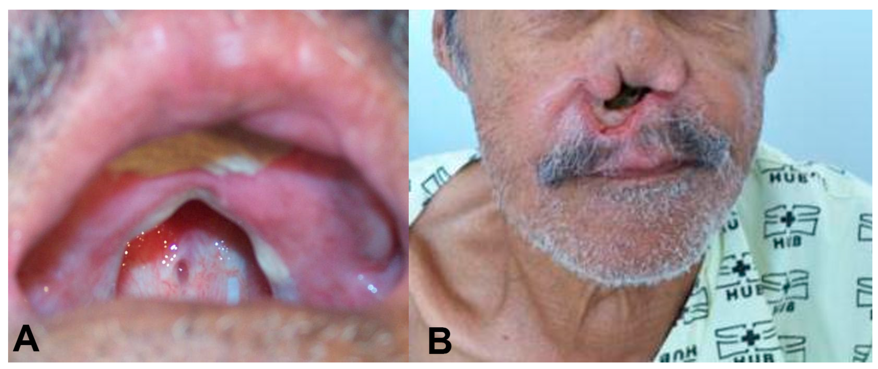 Biomedicines 12 02227 g001