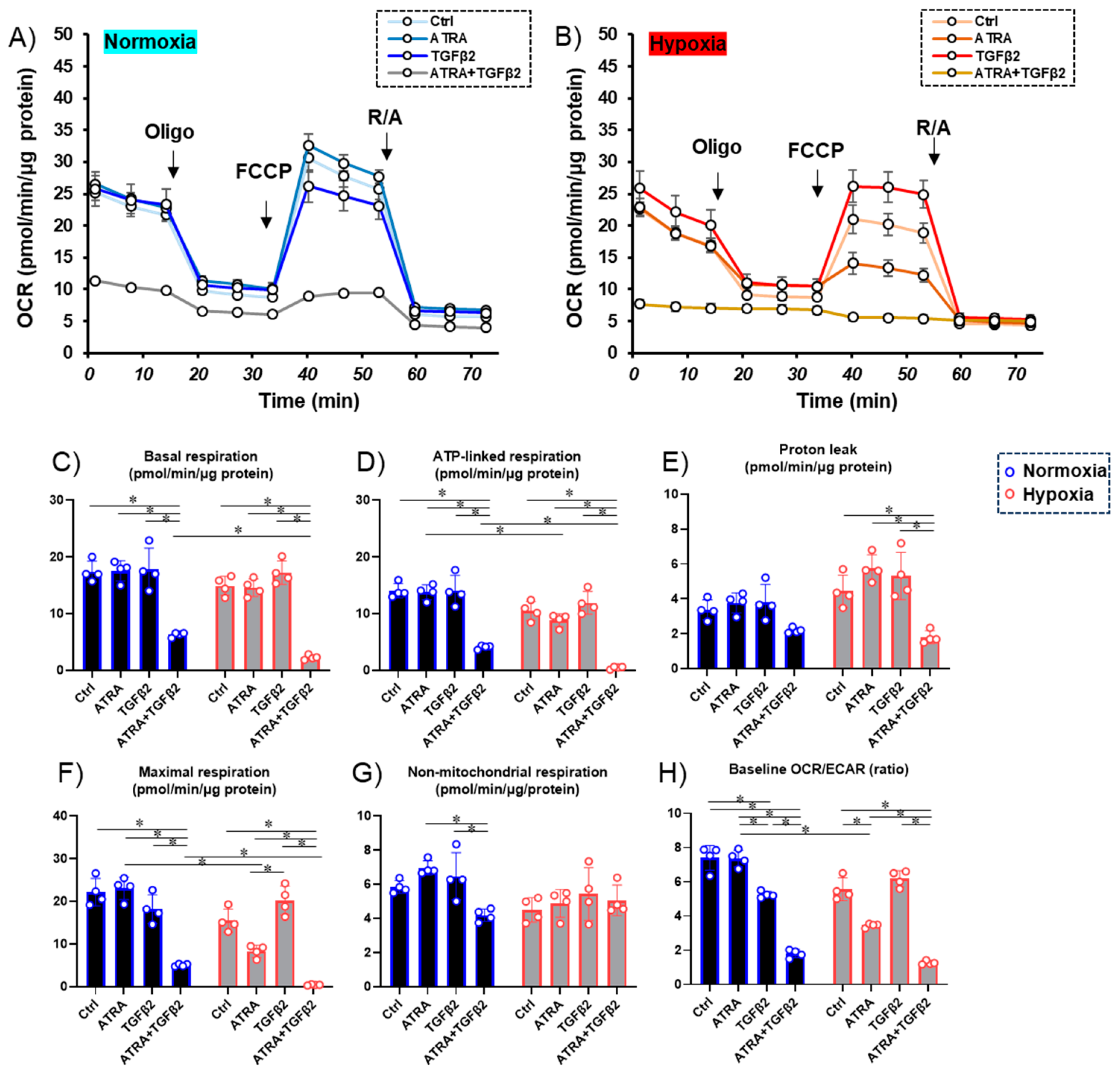 Biomedicines 12 02228 g002 Biomedicines 12 02228 g002