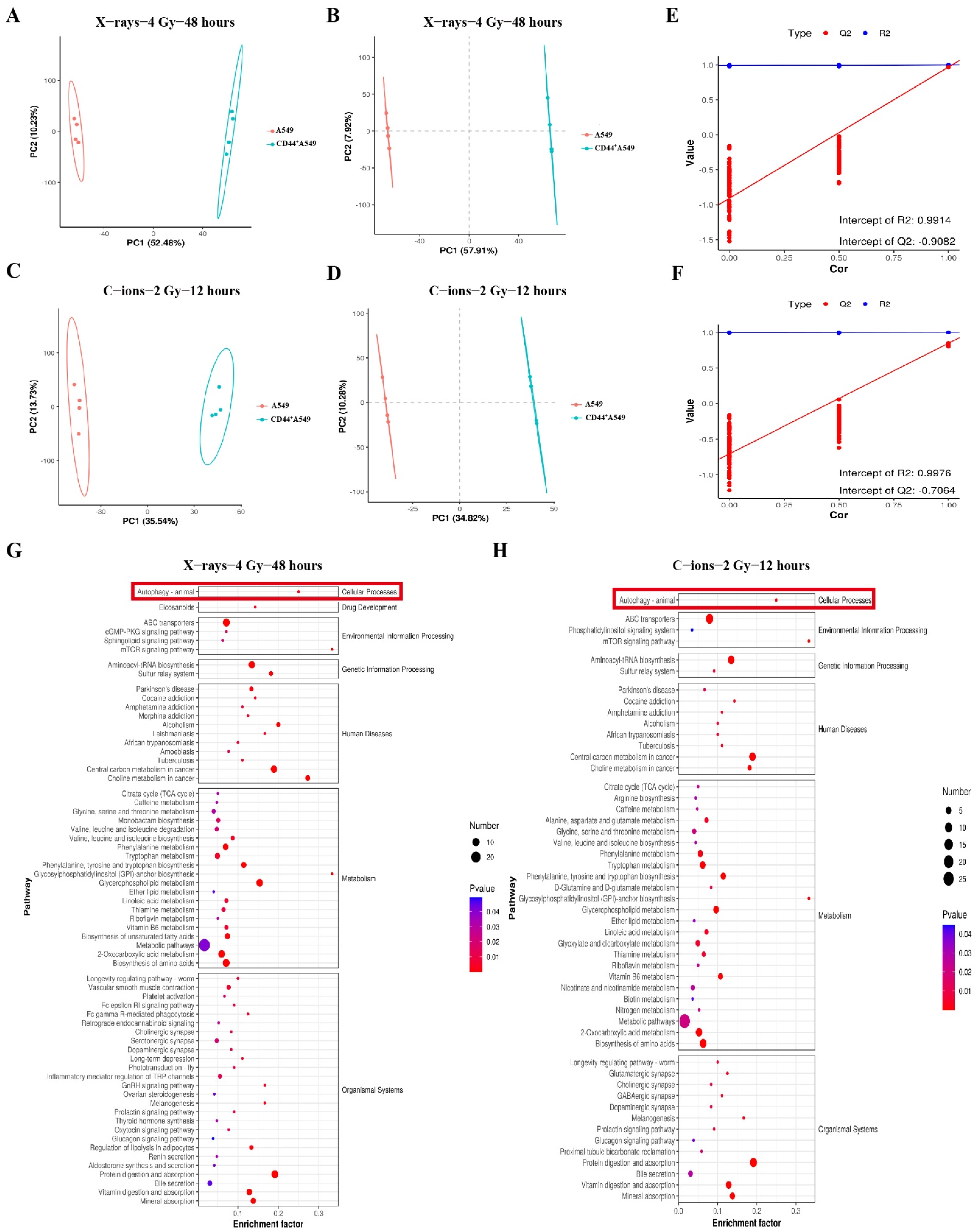 Biomedicines 12 02231 g003