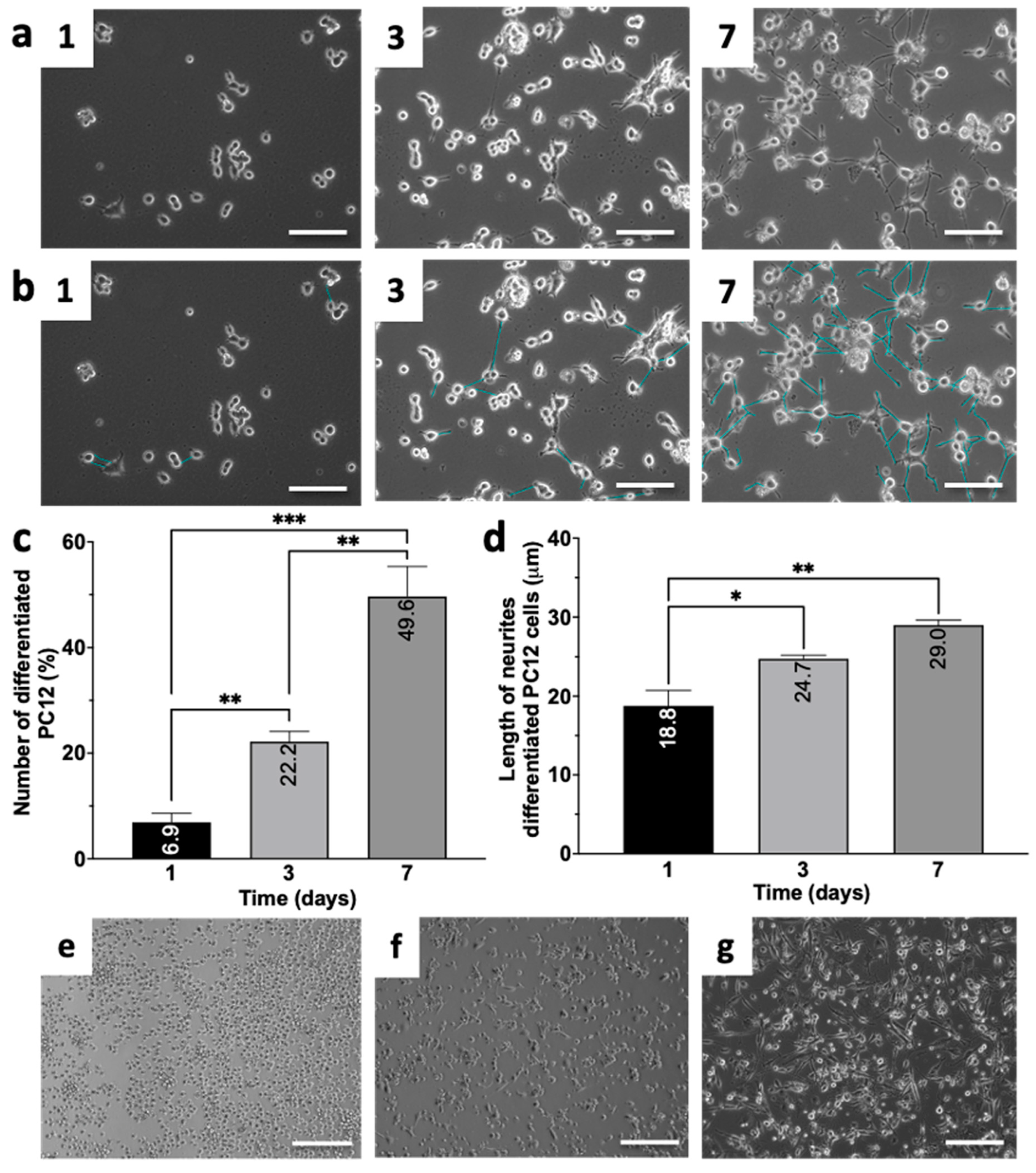 Biomedicines 12 02243 g001 Biomedicines 12 02243 g001