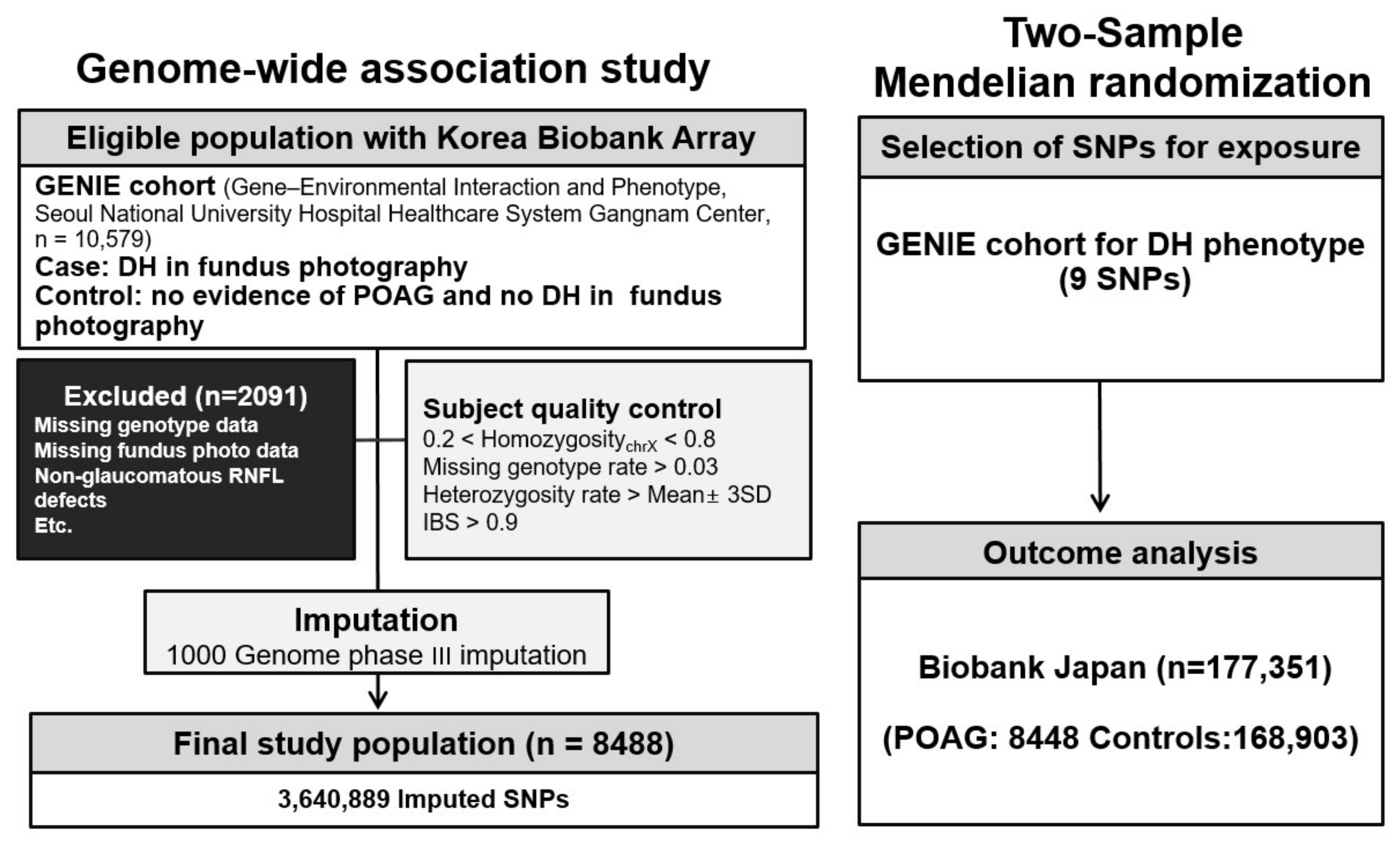 Biomedicines 12 02253 g001 Biomedicines 12 02253 g001