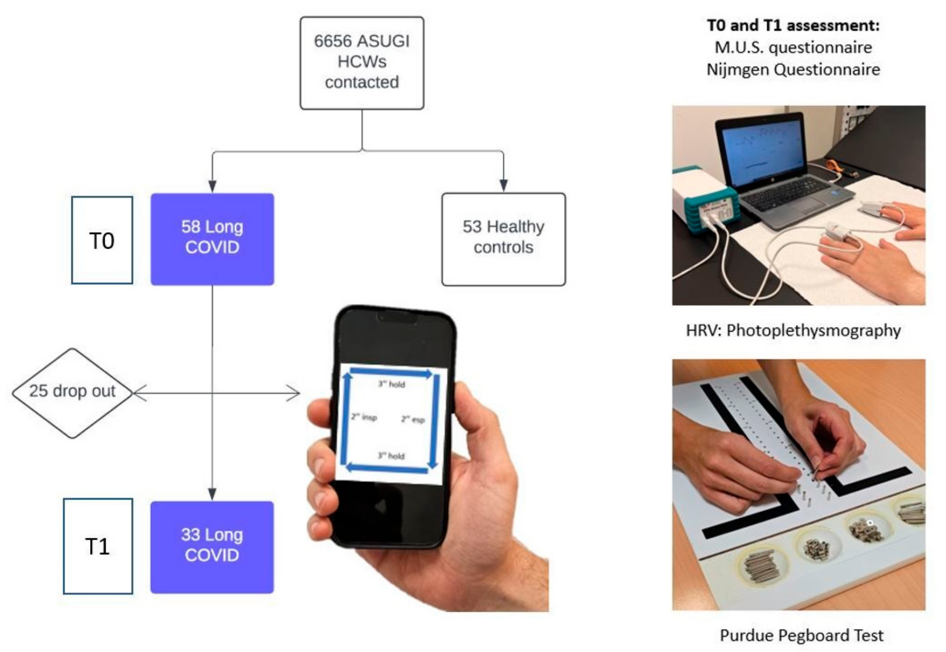 Biomedicines 12 02254 g001