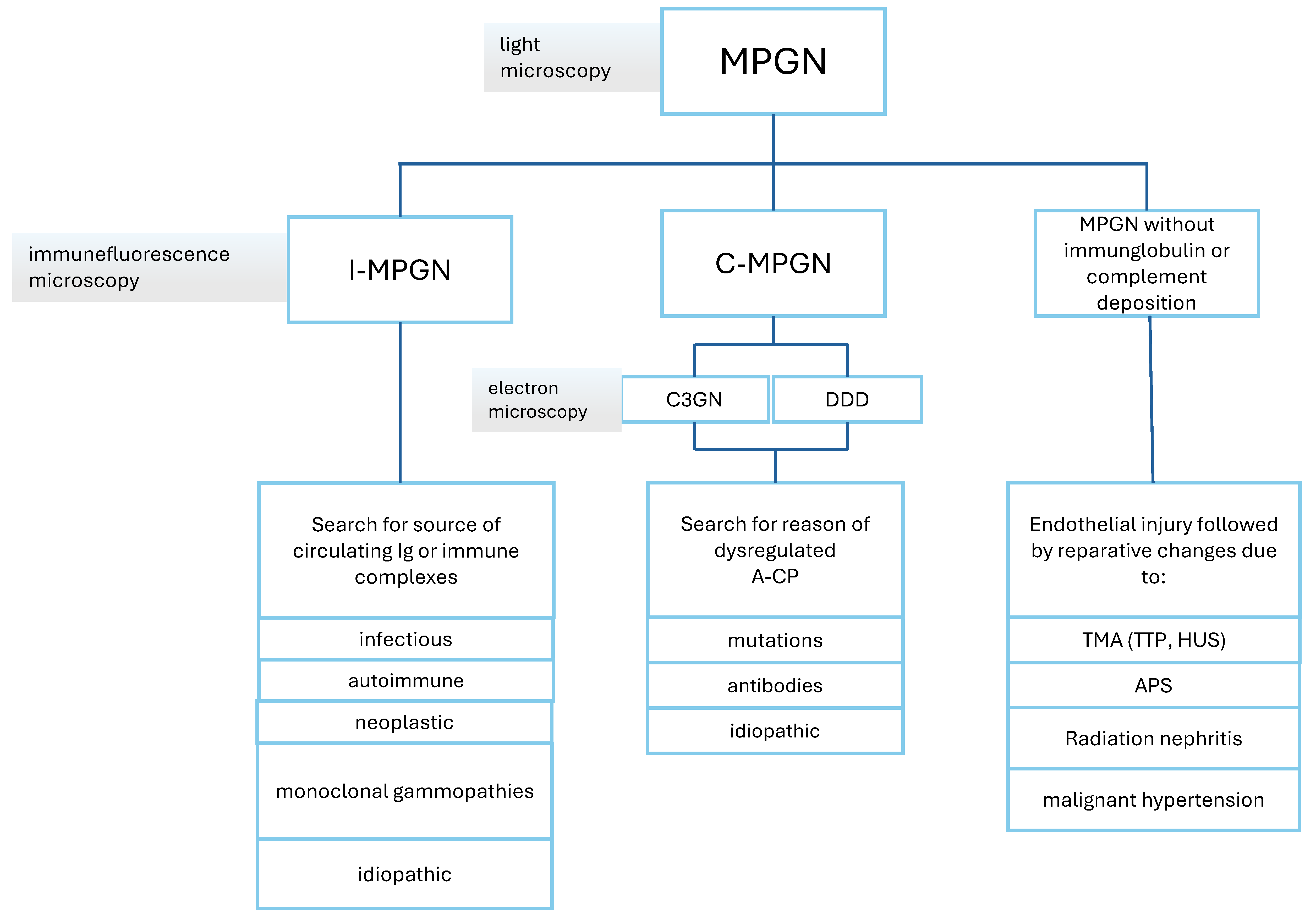 Biomedicines 12 02259 g003 Biomedicines 12 02259 g003