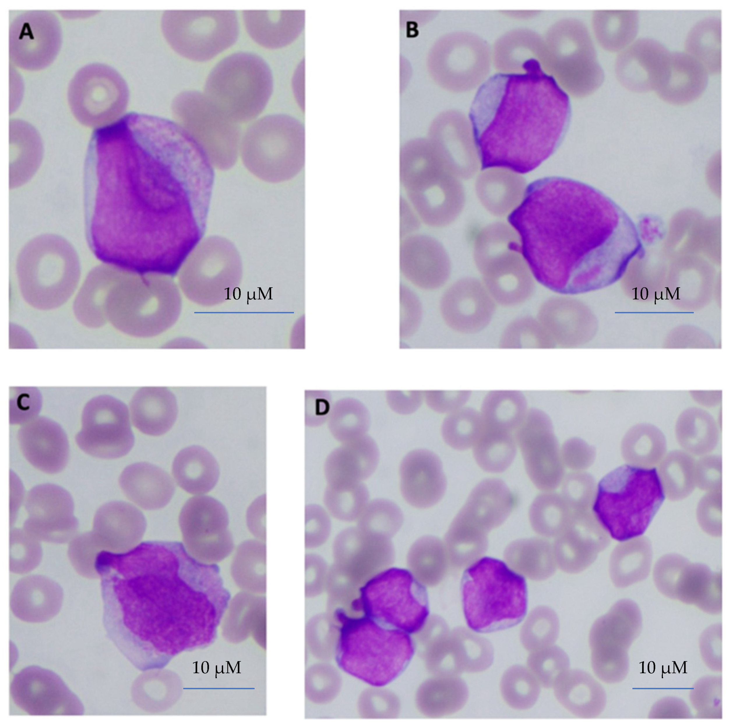 Biomedicines 12 02282 g001