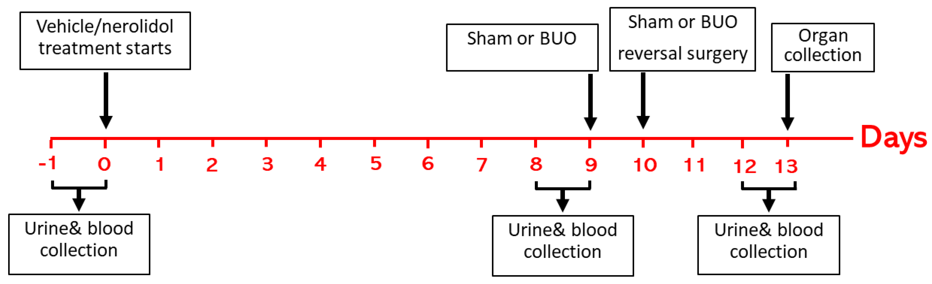 Biomedicines 12 02285 g001