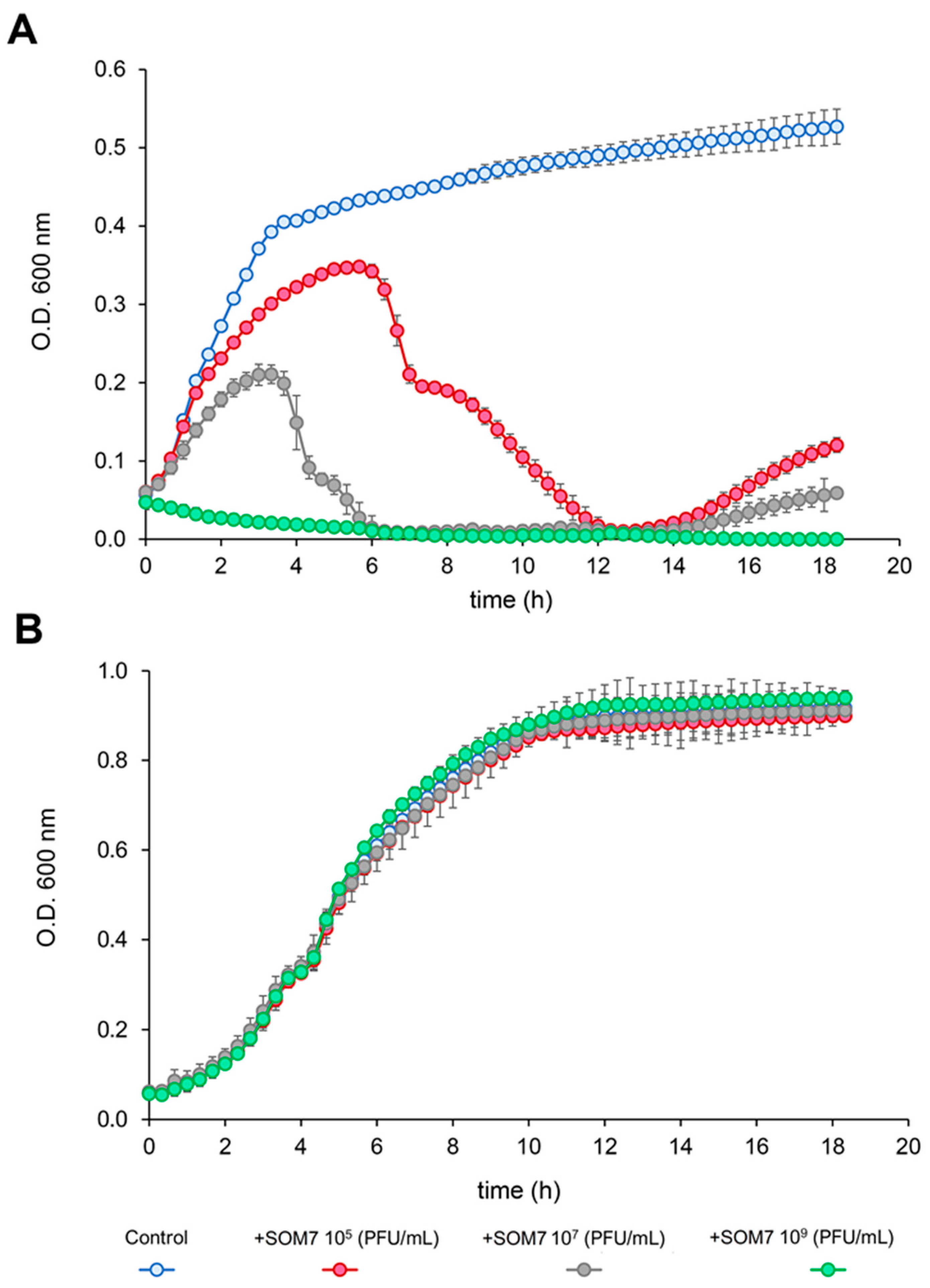 Biomedicines 12 02291 g001