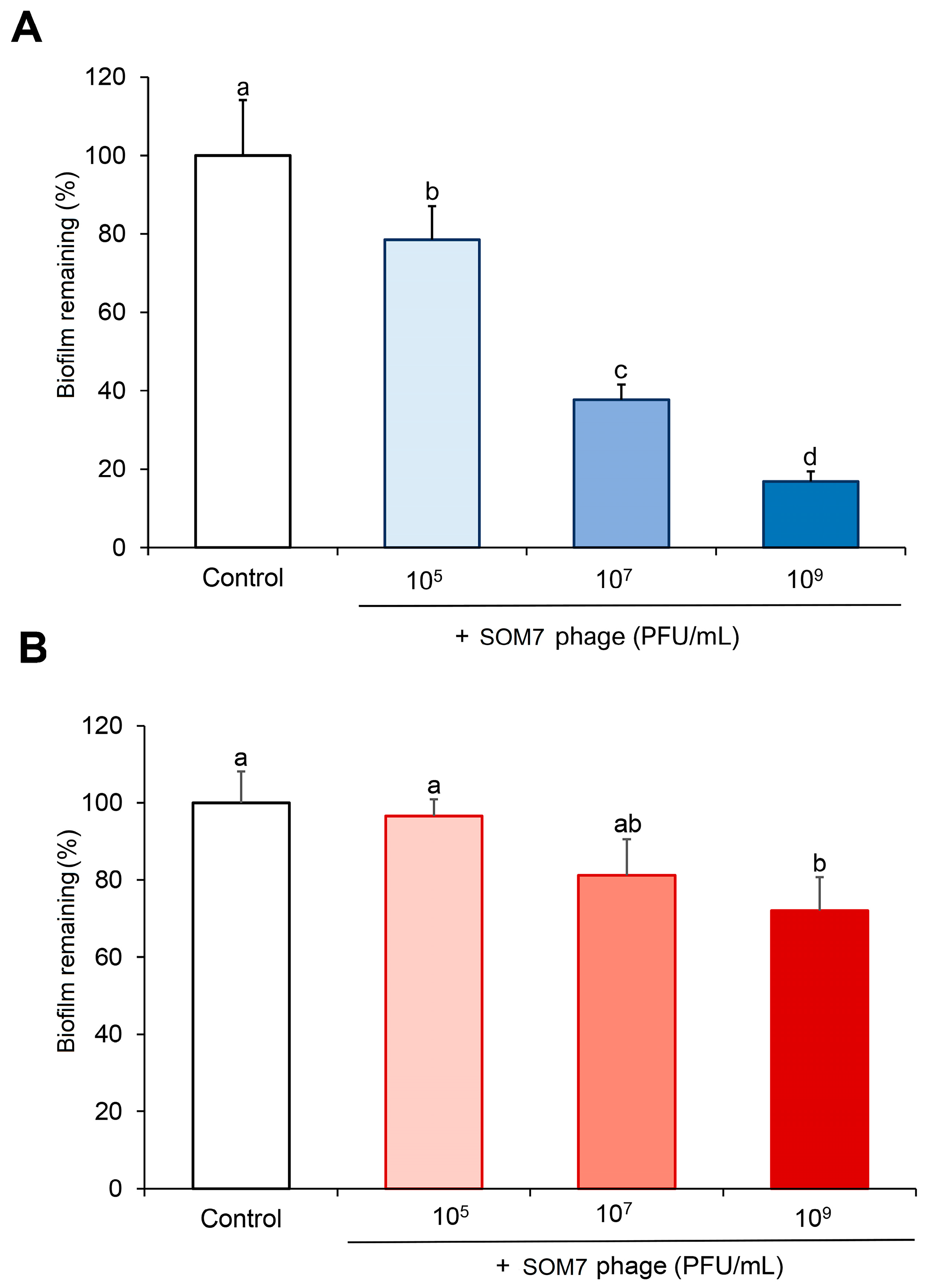 Biomedicines 12 02291 g003