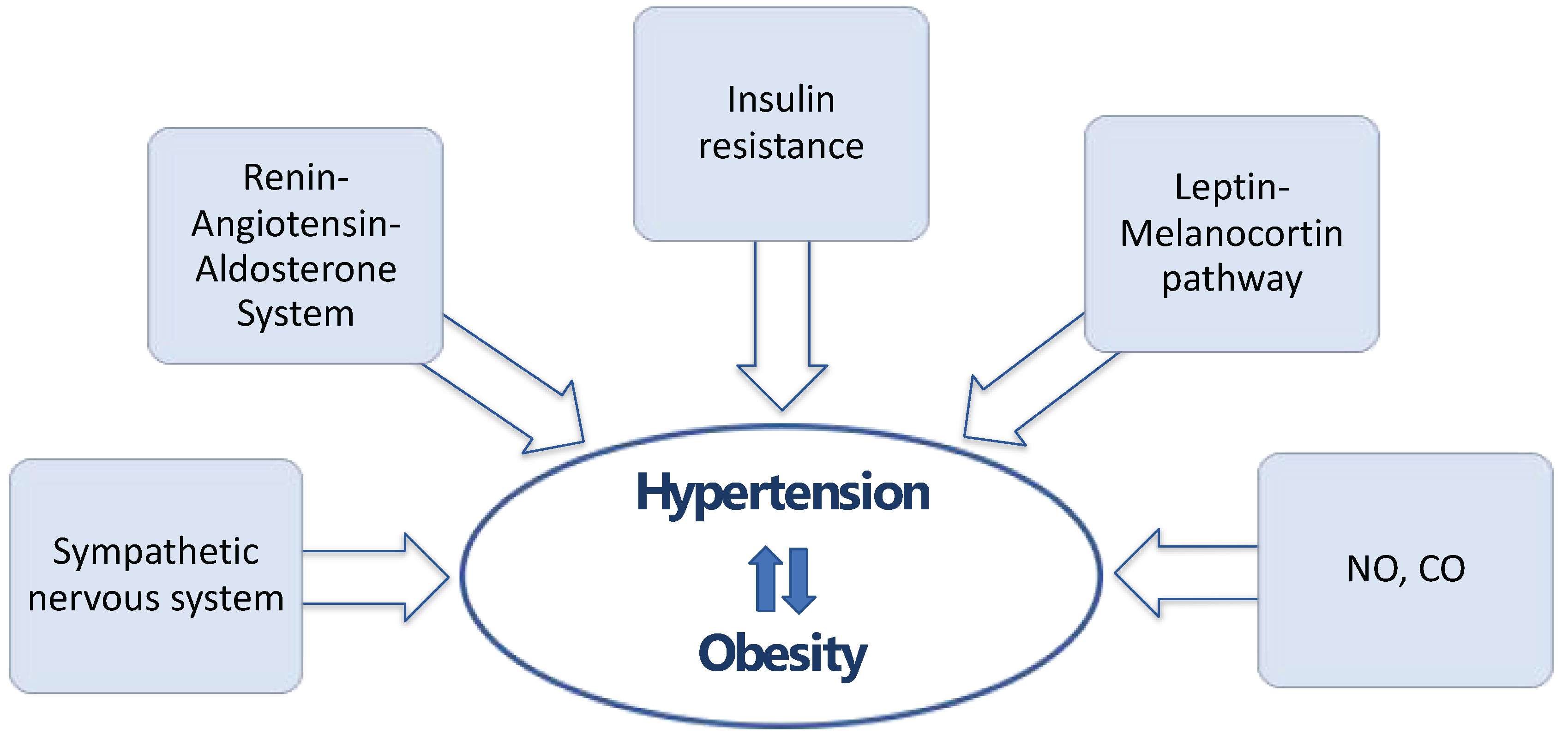 Biomedicines 12 02293 g001
