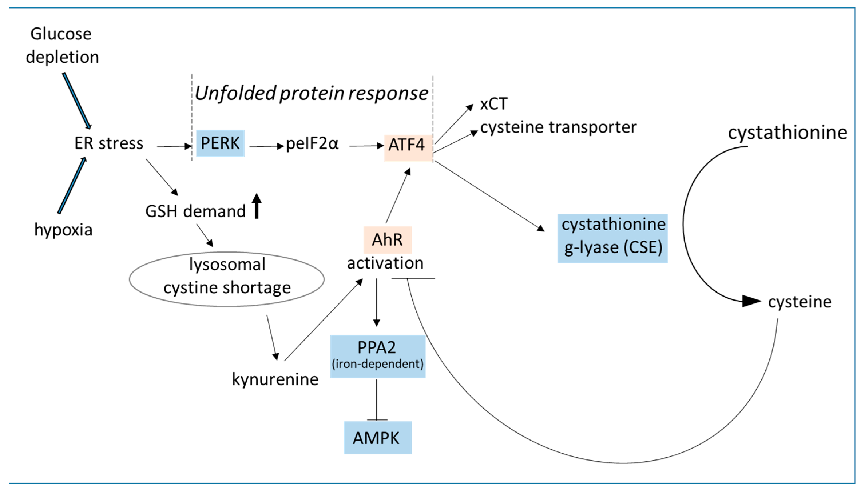 Biomedicines 12 02294 g004 Biomedicines 12 02294 g004