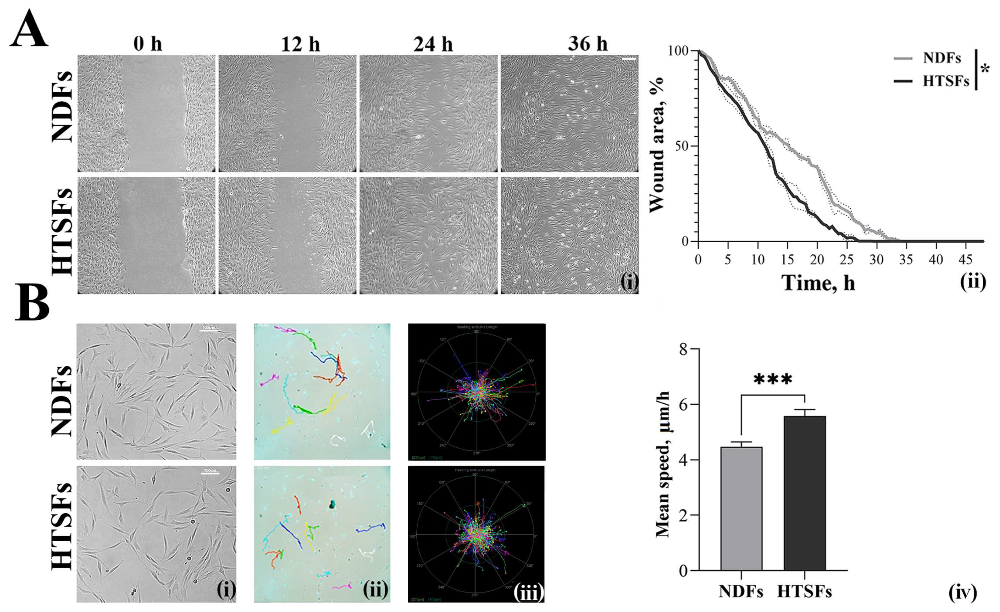 Biomedicines 12 02295 g003