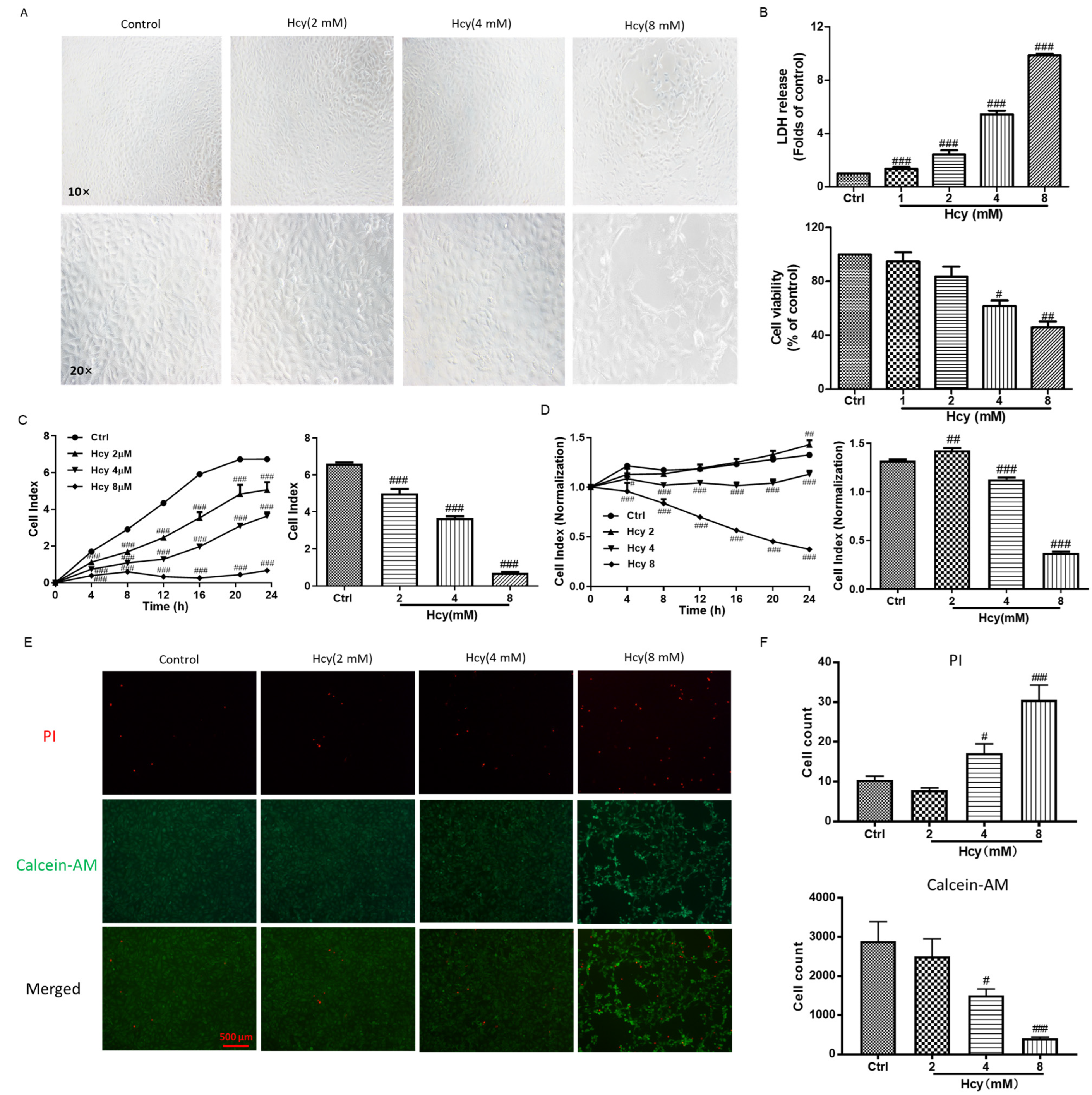 Biomedicines 12 02301 g001