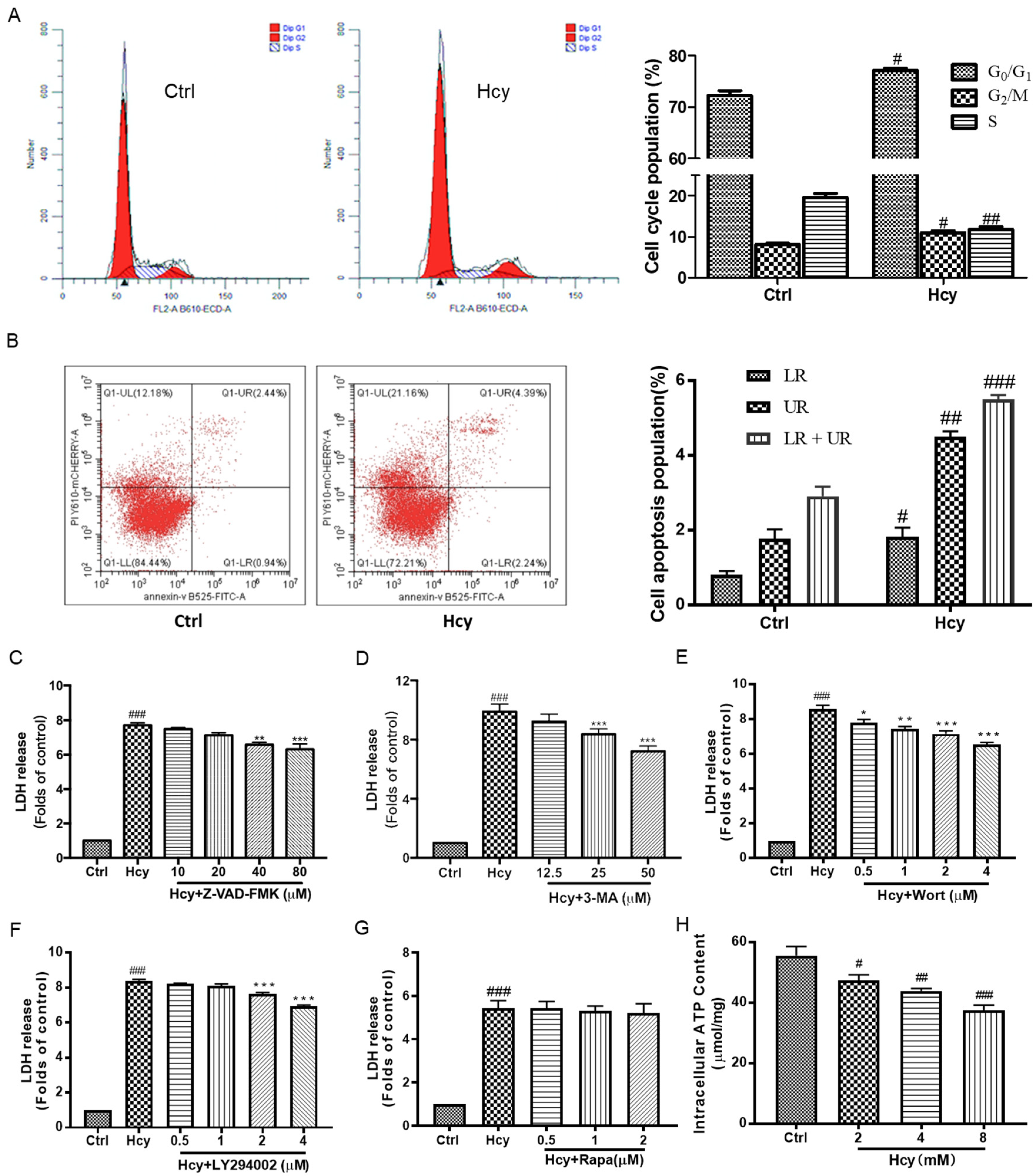 Biomedicines 12 02301 g002