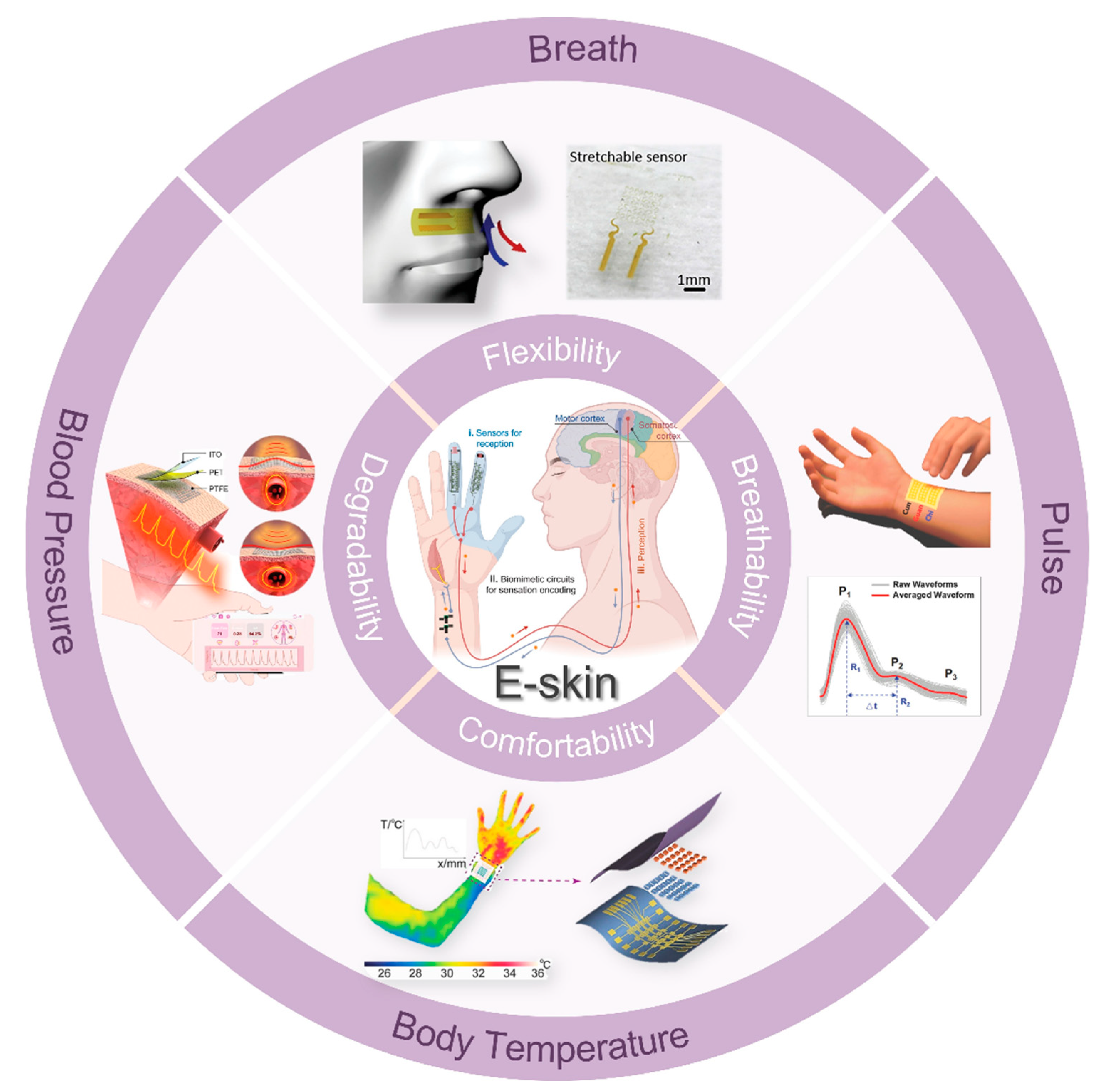 Biomedicines 12 02307 g001