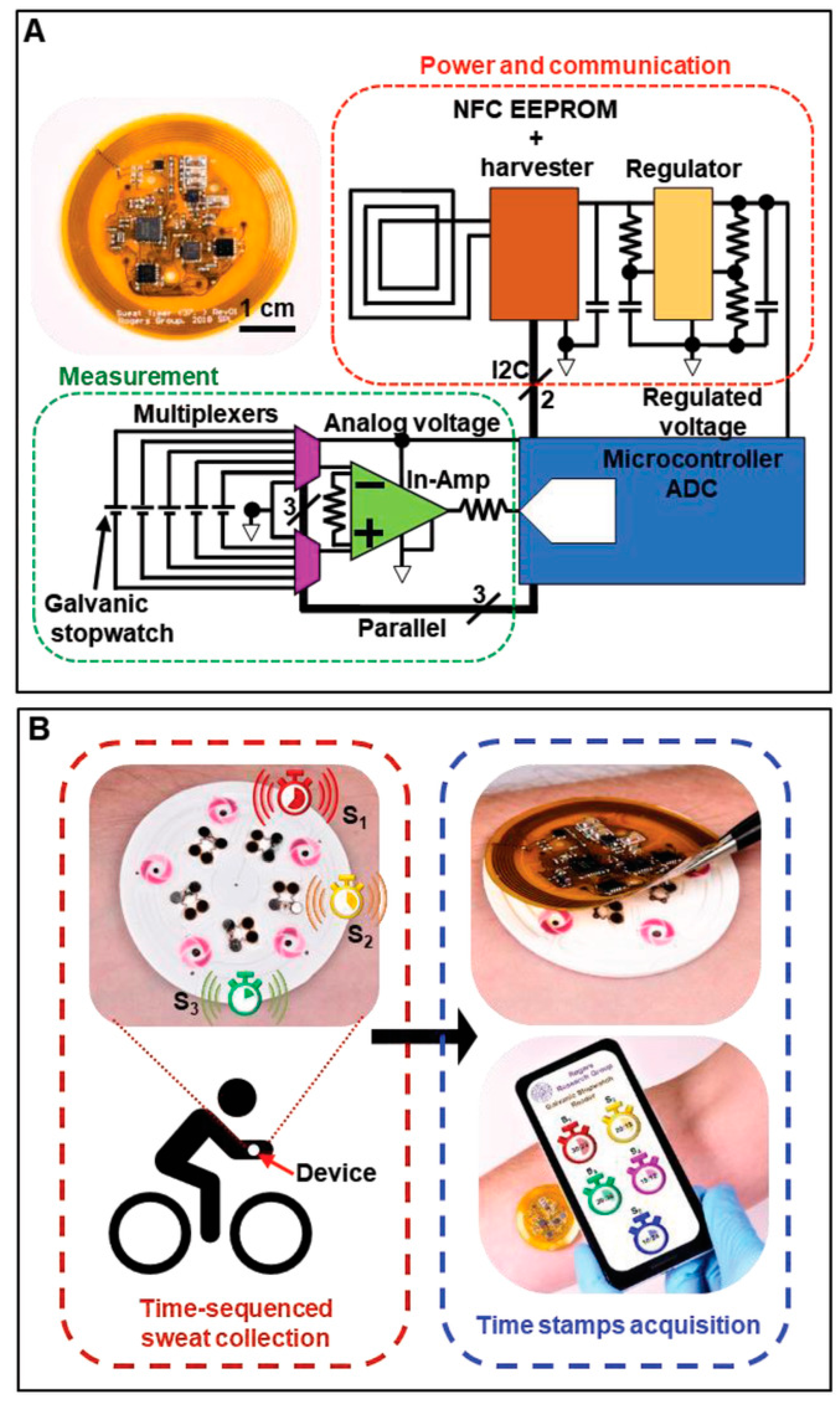 Biomedicines 12 02307 g013
