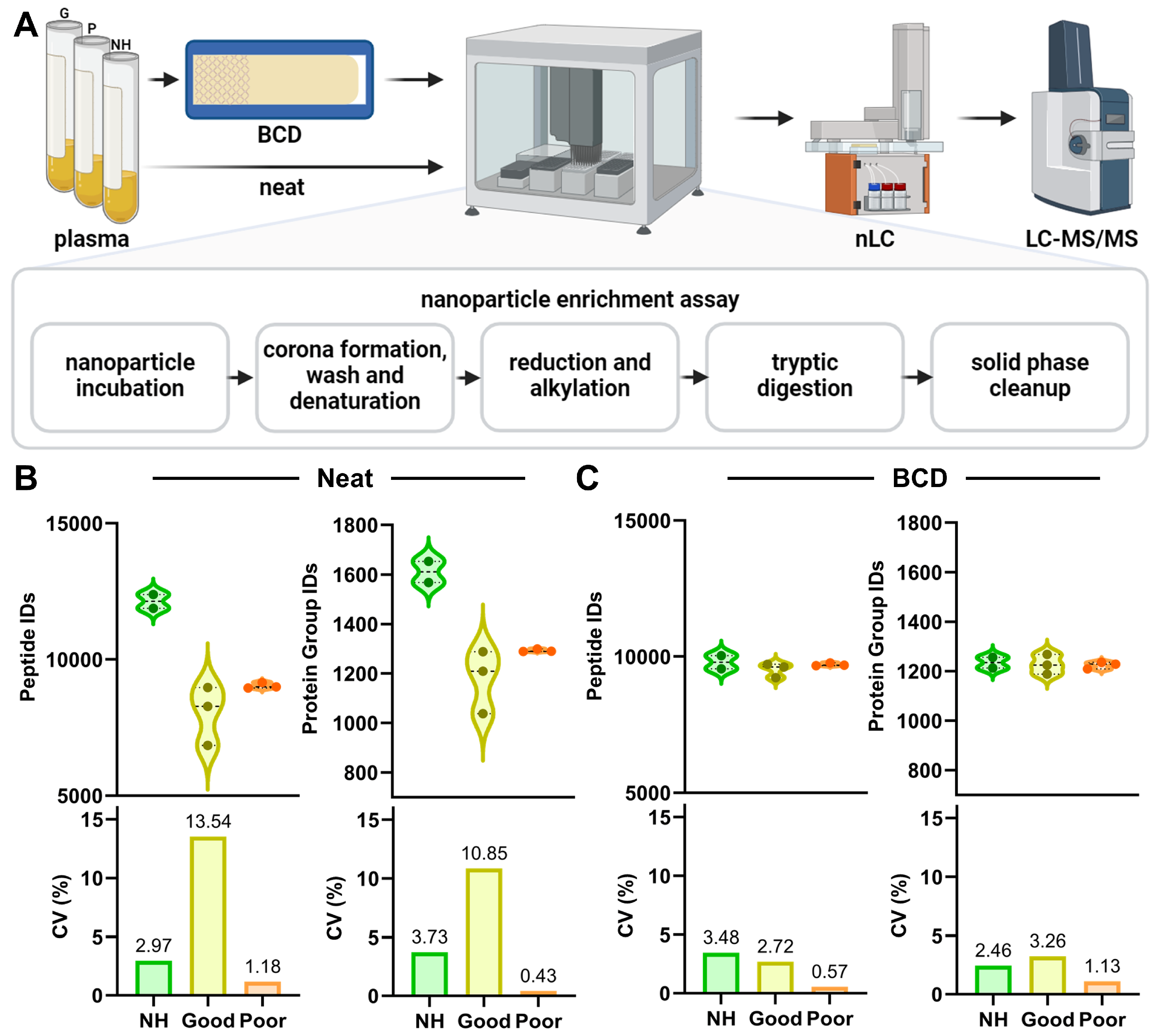 Biomedicines 12 02318 g001
