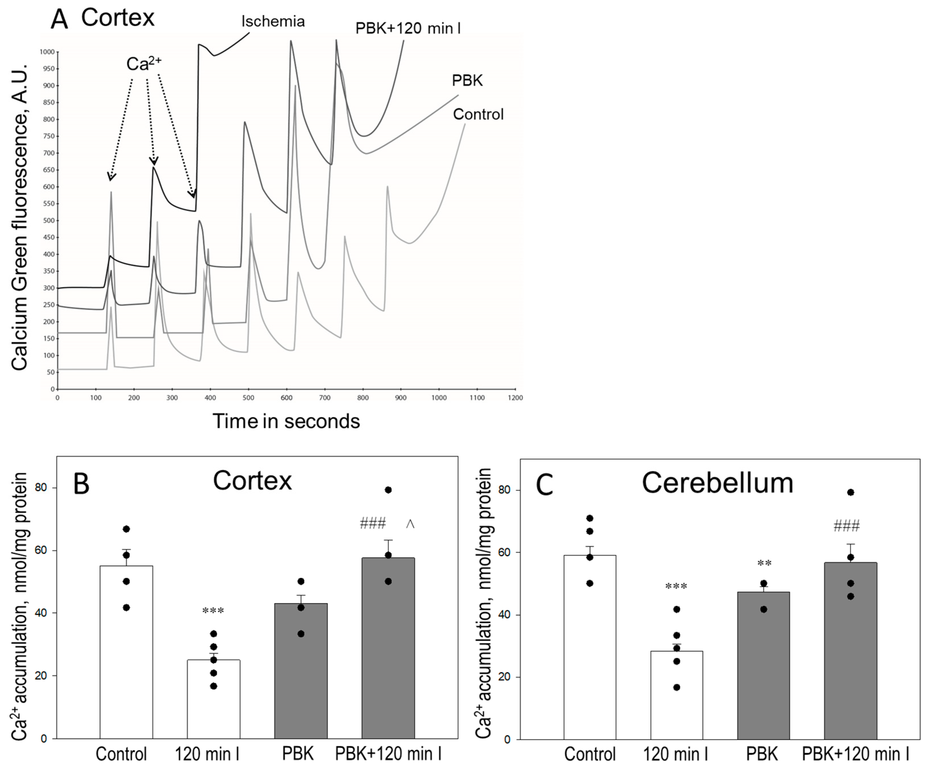 Biomedicines 12 02342 g001 Biomedicines 12 02342 g001
