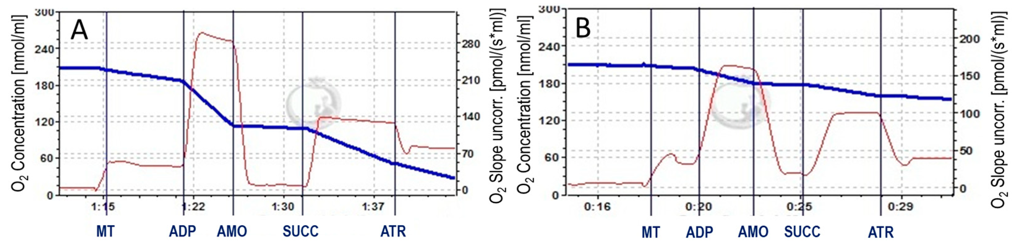 Biomedicines 12 02342 g002a Biomedicines 12 02342 g002a