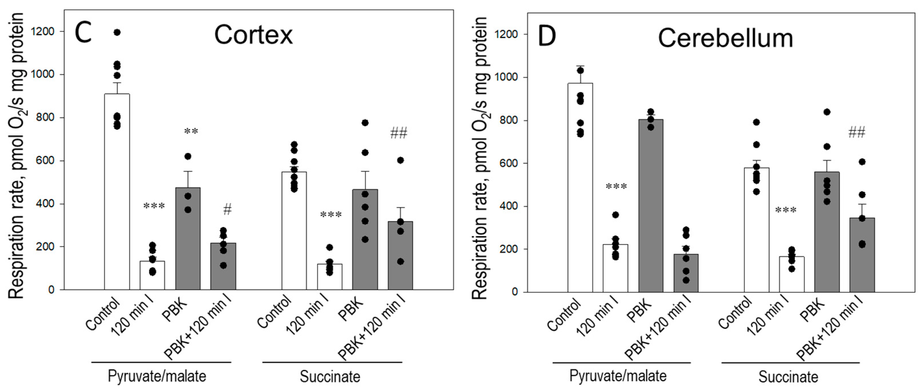 Biomedicines 12 02342 g002b Biomedicines 12 02342 g002b