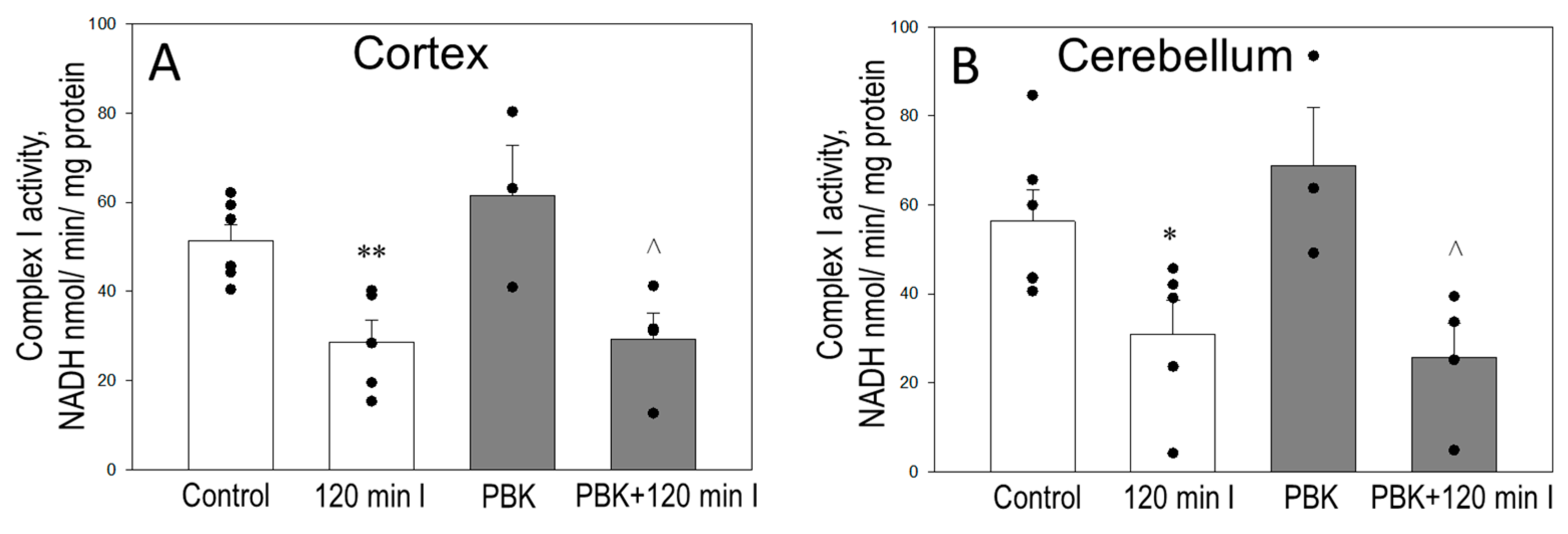 Biomedicines 12 02342 g003 Biomedicines 12 02342 g003