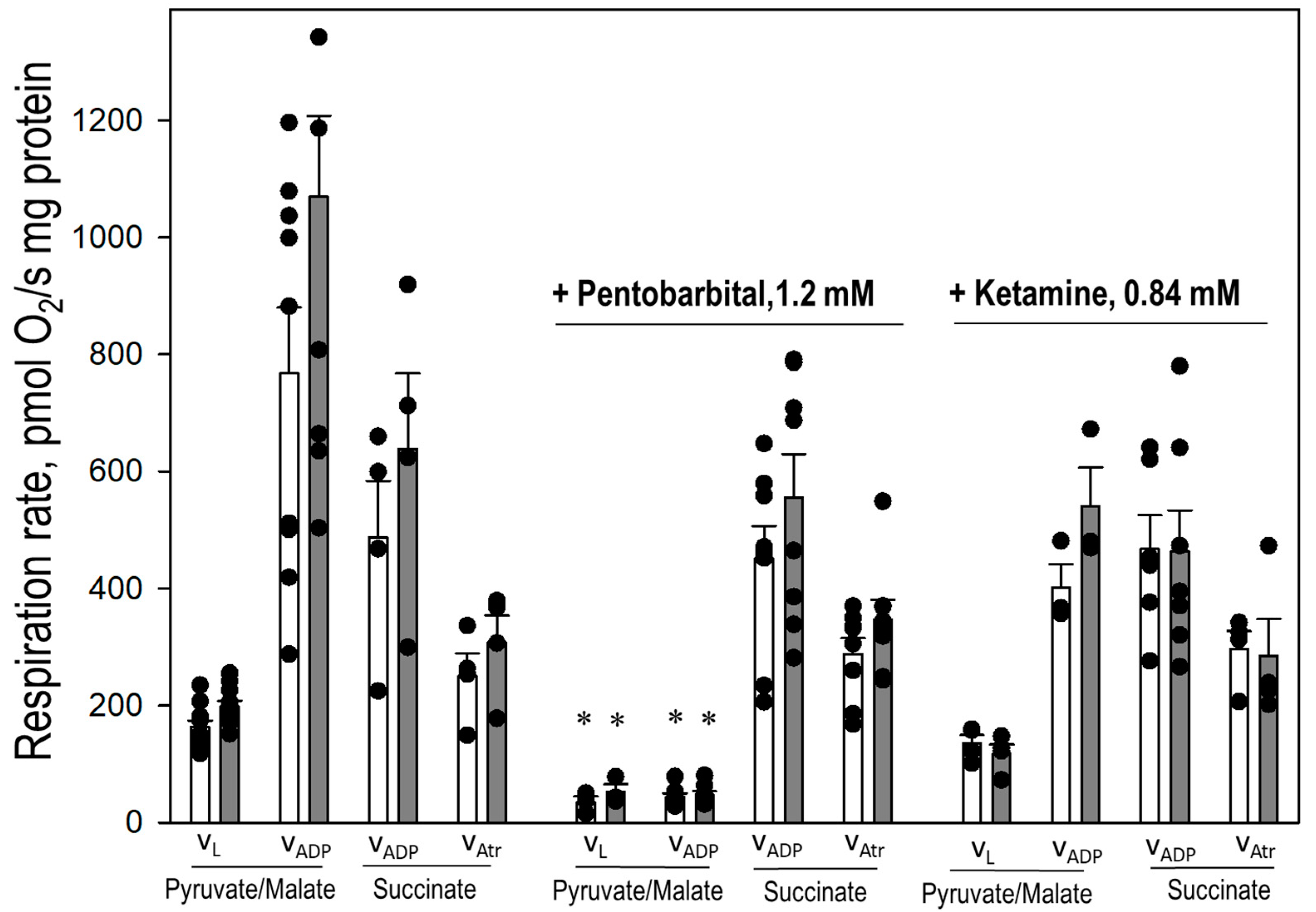 Biomedicines 12 02342 g009 Biomedicines 12 02342 g009