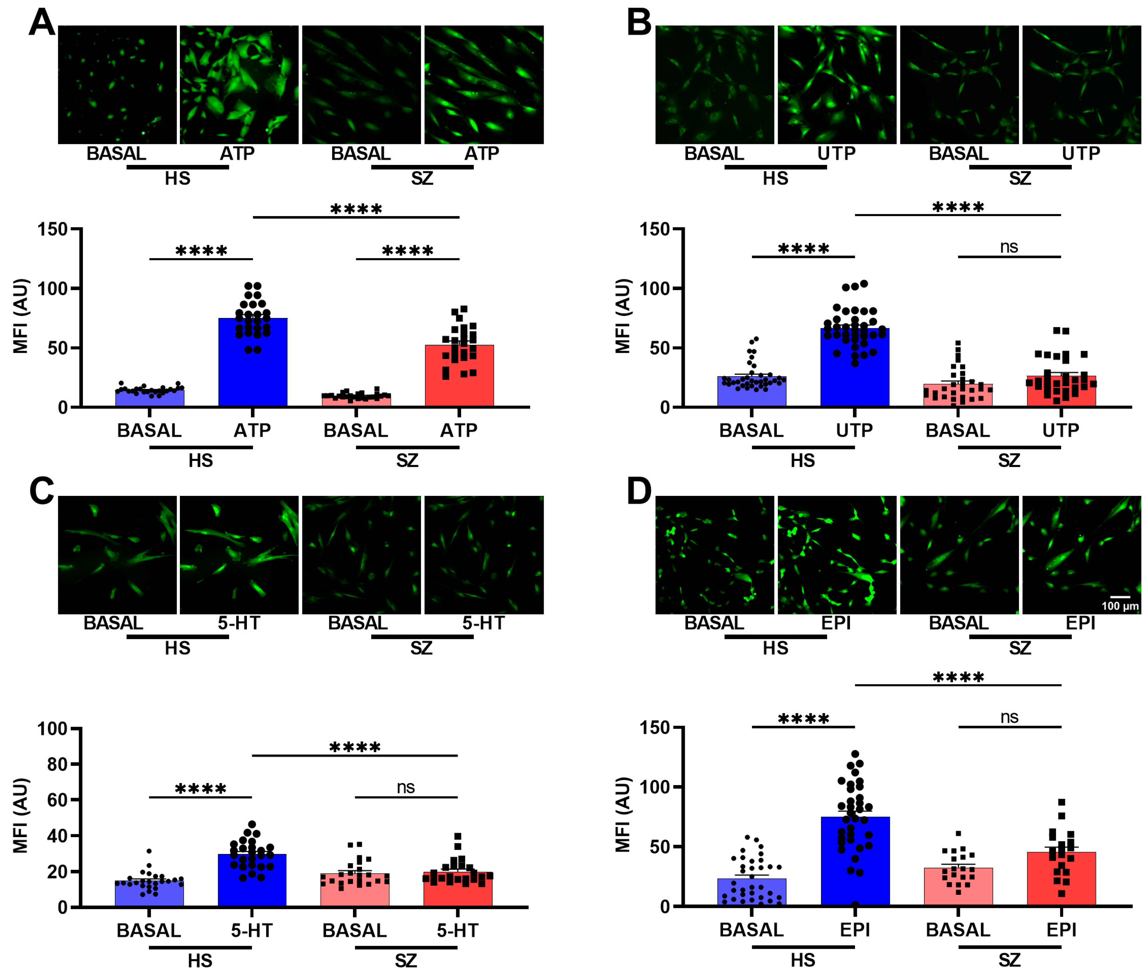 Biomedicines 12 02343 g003