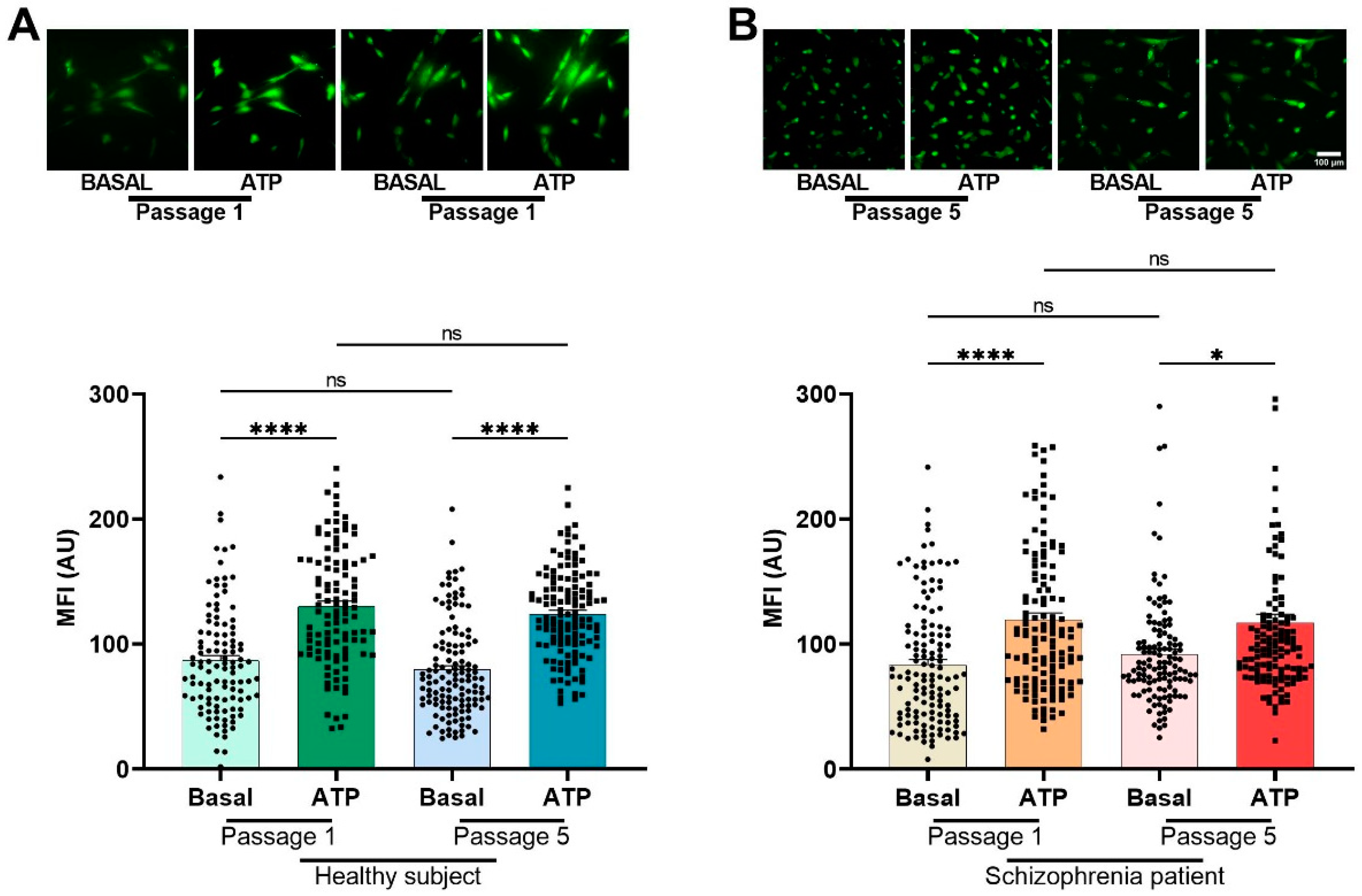 Biomedicines 12 02343 g005