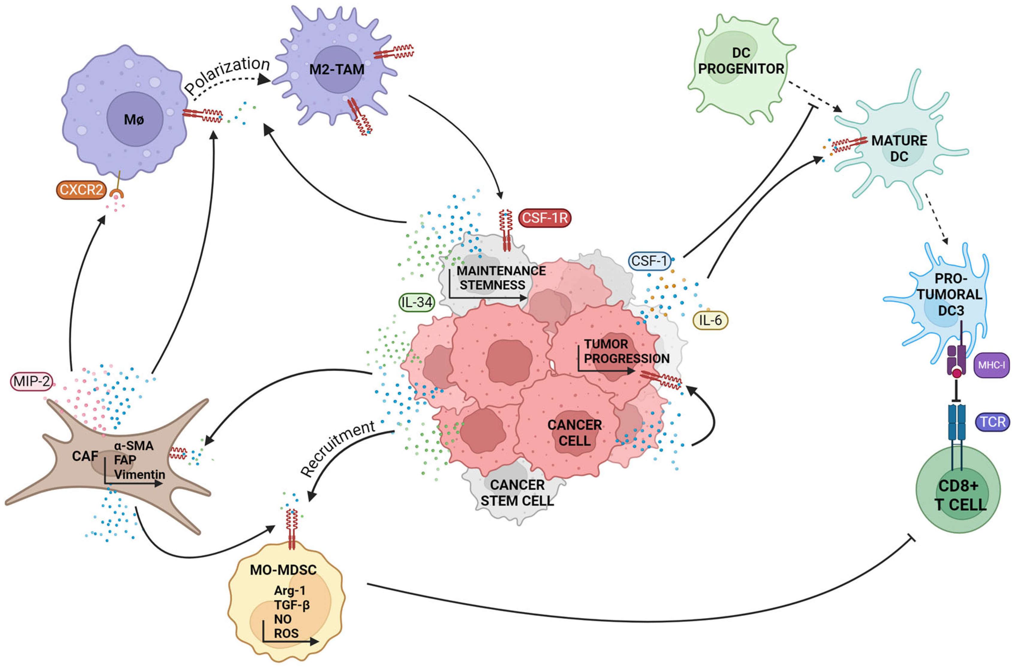 Biomedicines 12 02381 g002 Biomedicines 12 02381 g002
