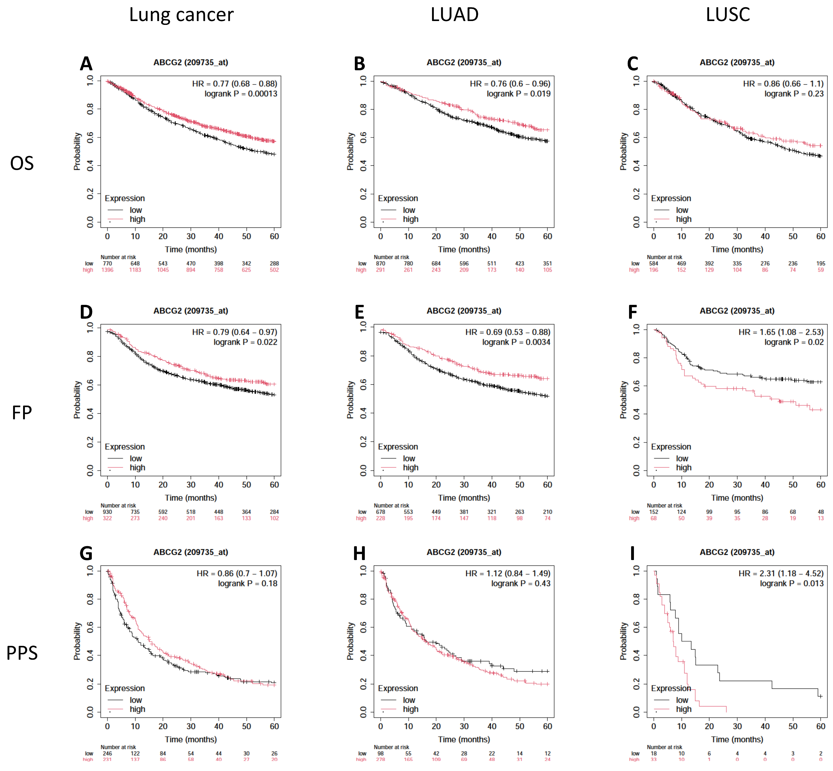 Biomedicines 12 02394 g004 Biomedicines 12 02394 g004