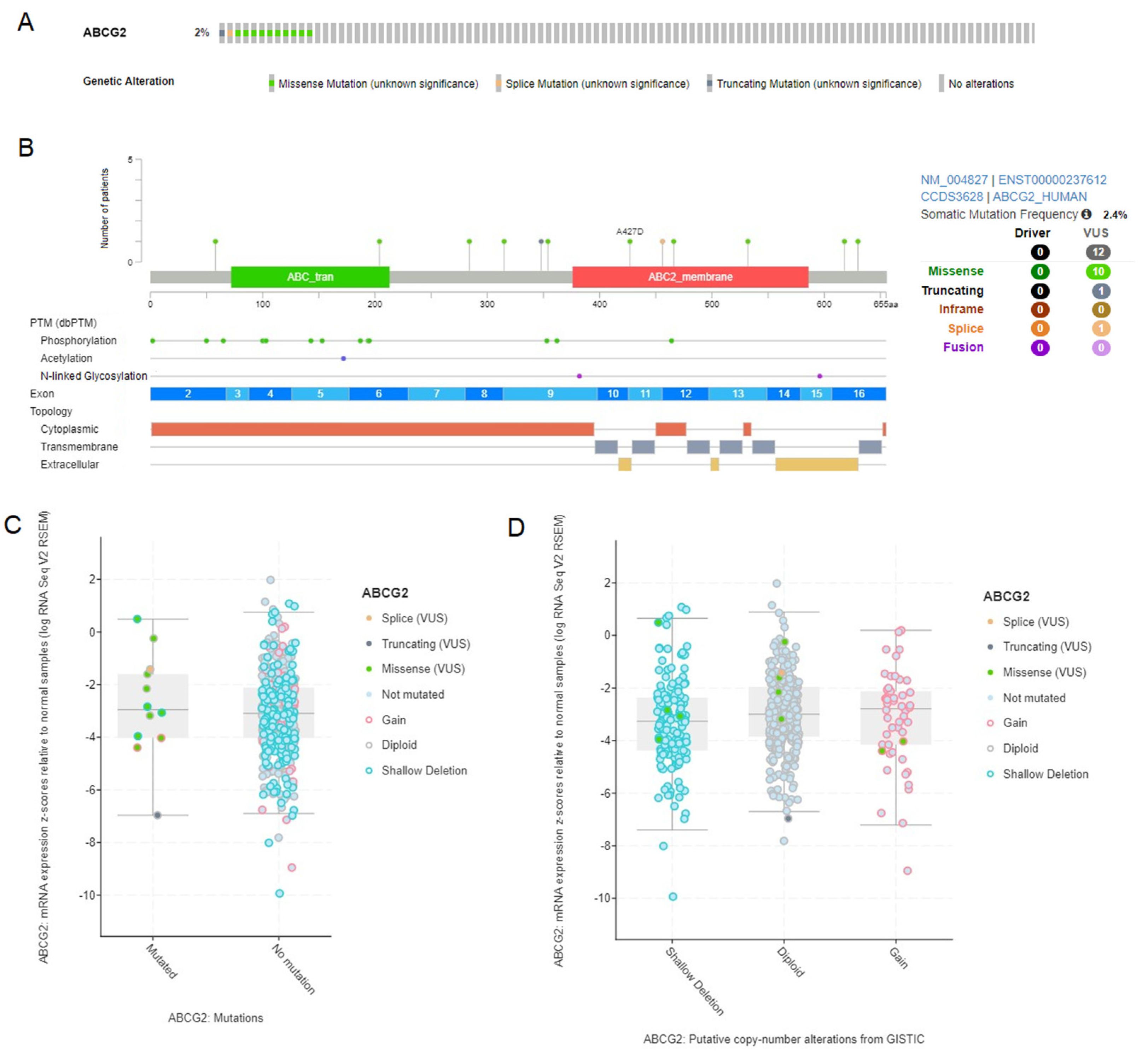 Biomedicines 12 02394 g006 Biomedicines 12 02394 g006