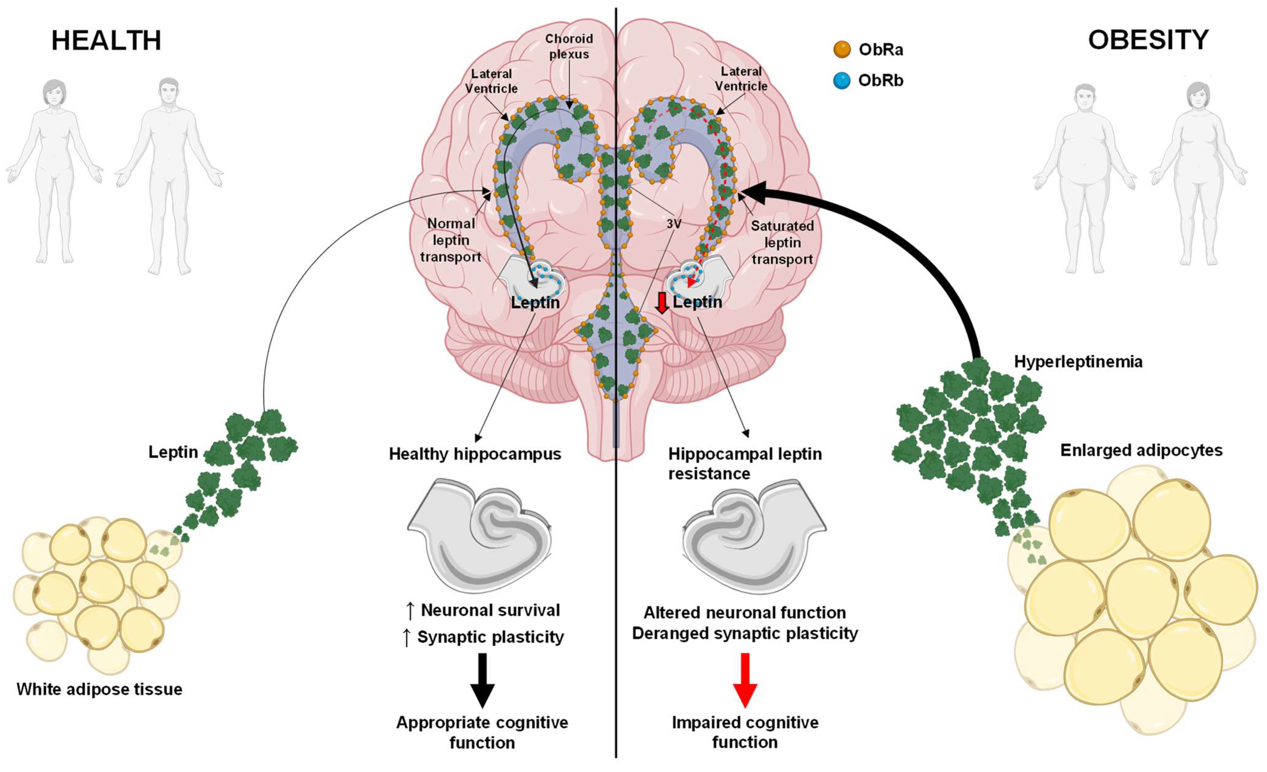 Biomedicines 12 02422 g001