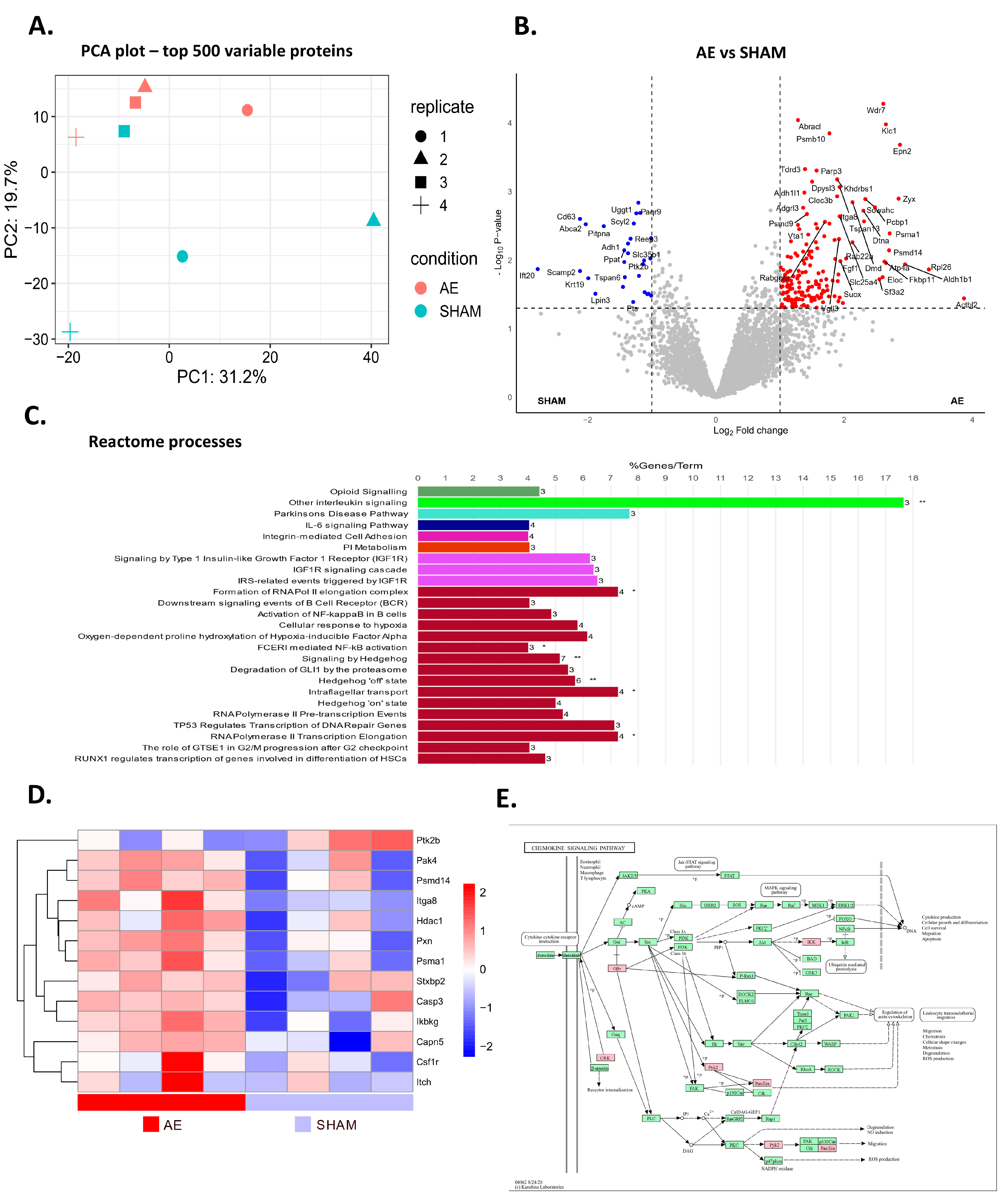 Biomedicines 12 02458 g005 Biomedicines 12 02458 g005