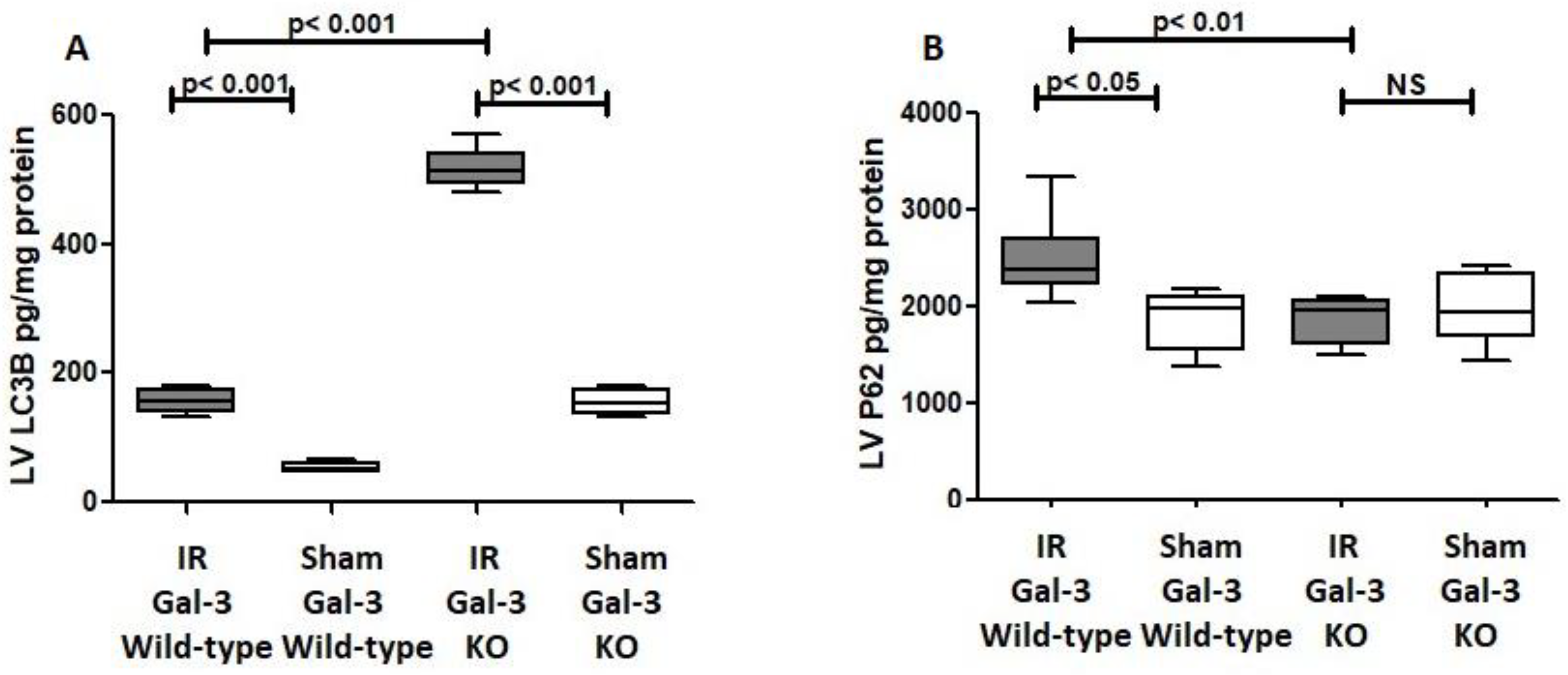Biomedicines 12 02474 g004