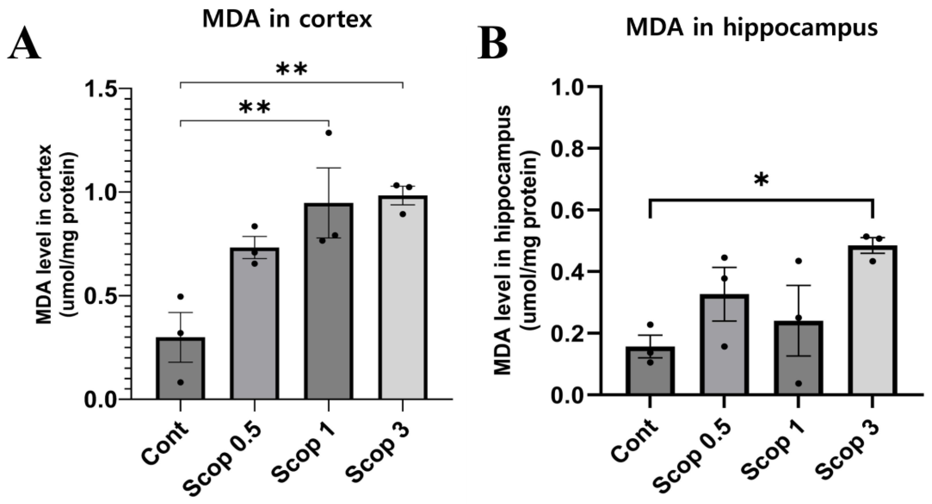 Biomedicines 12 02475 g005 Biomedicines 12 02475 g005