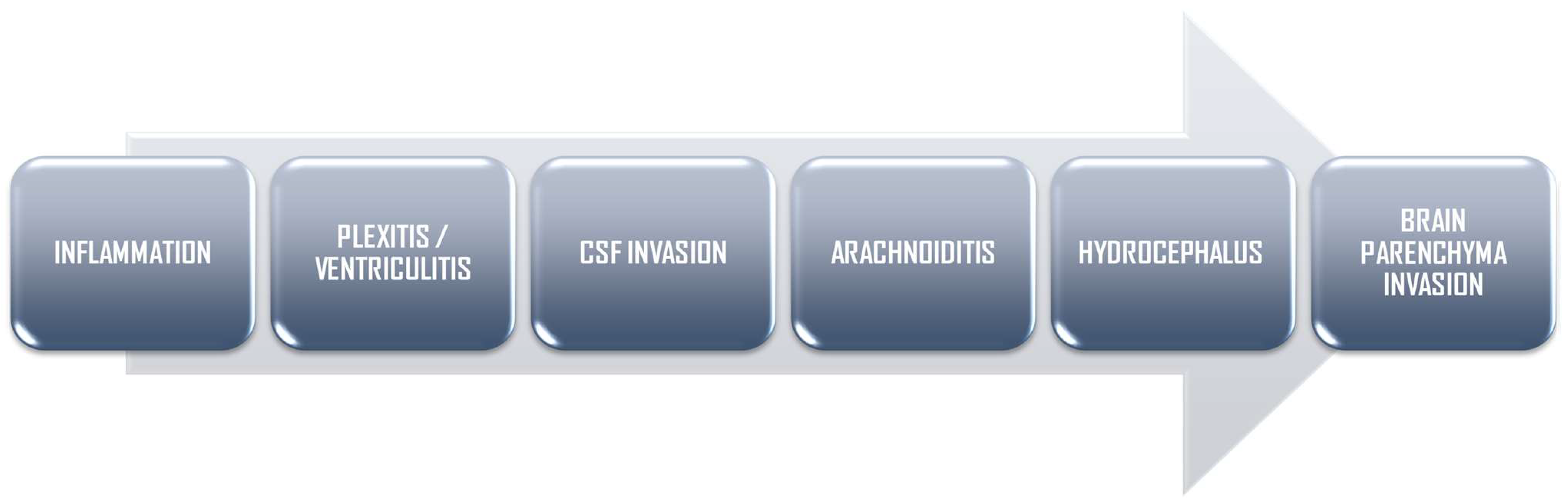 Biomedicines 12 02490 g001