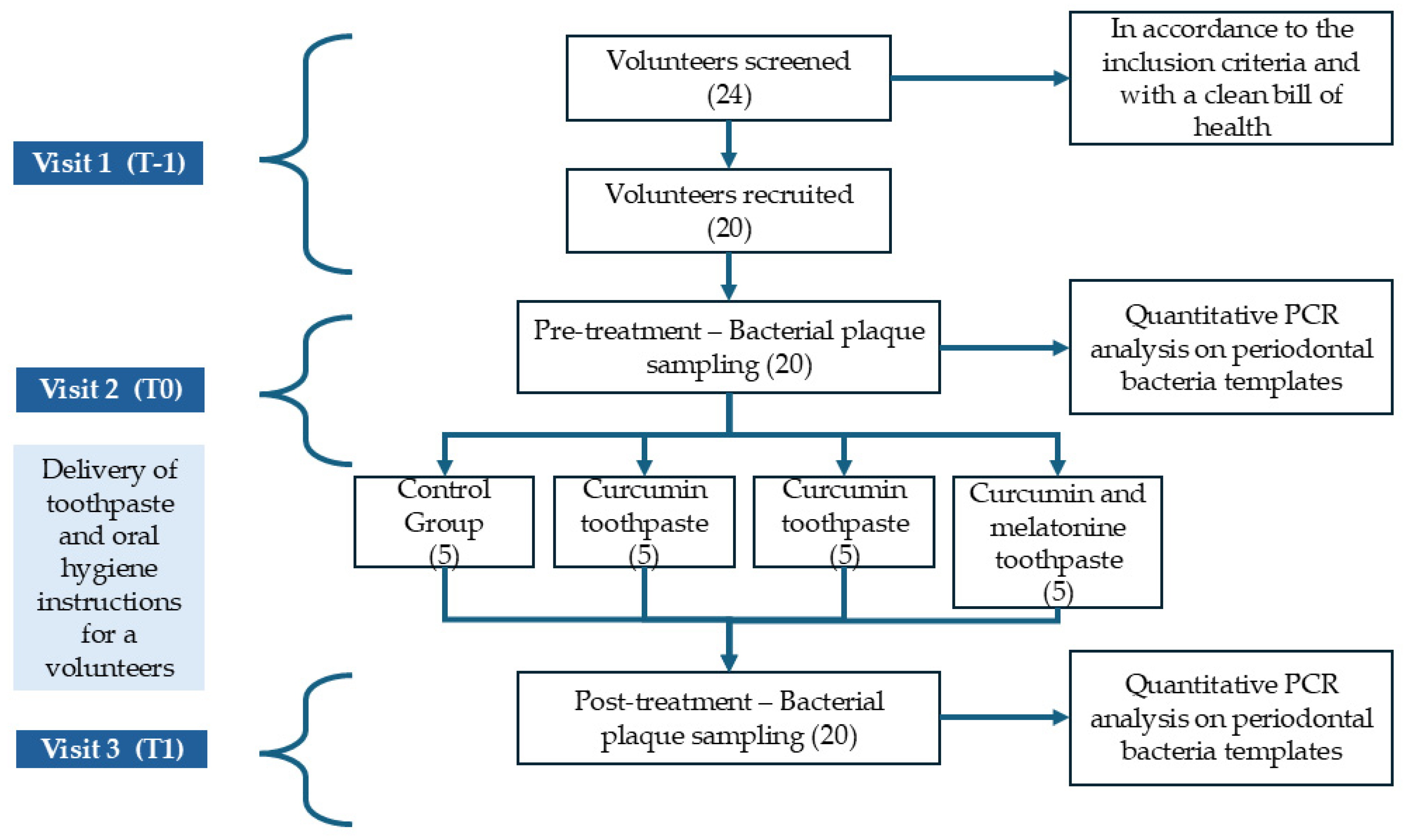 Biomedicines 12 02499 g001