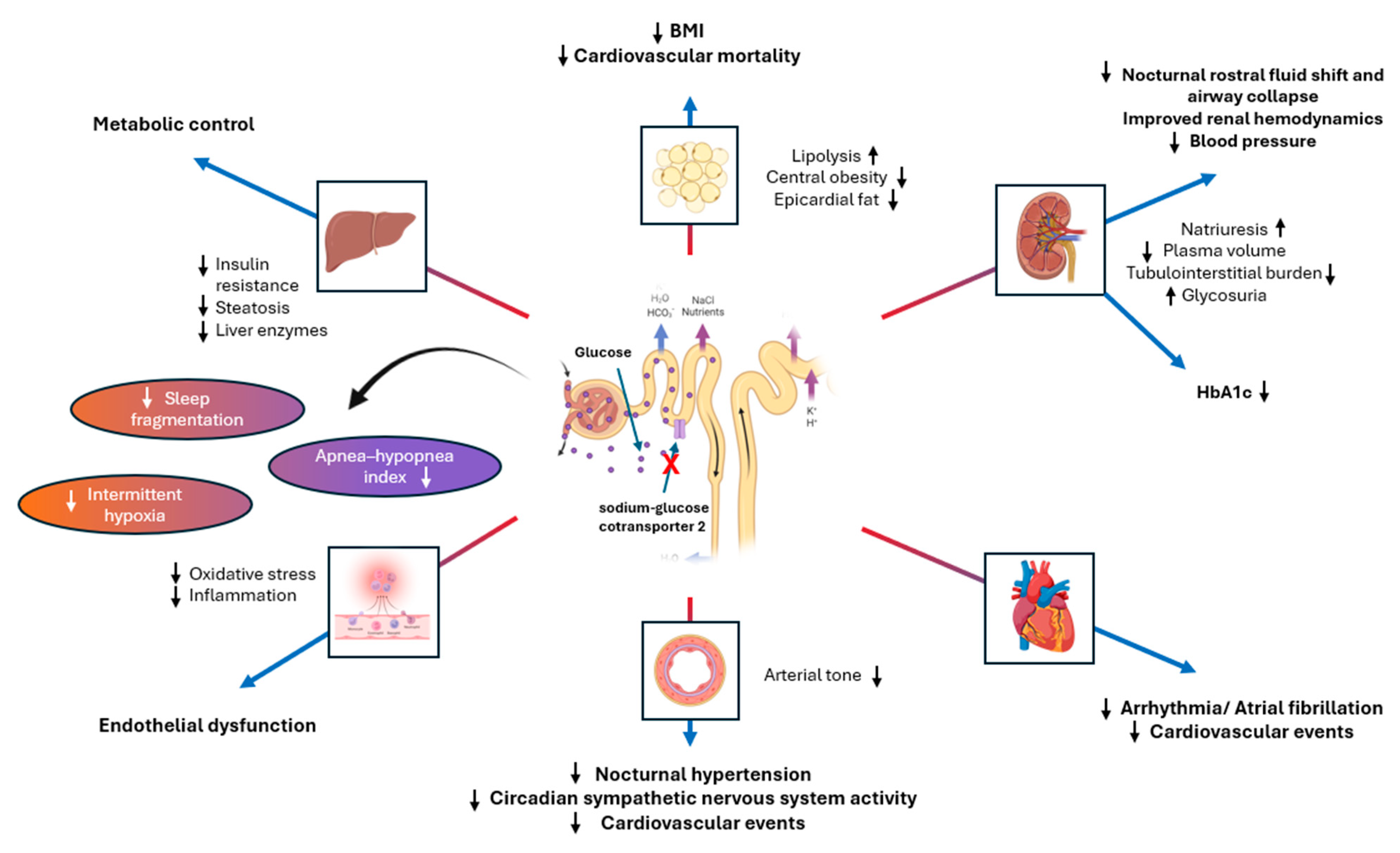Biomedicines 12 02503 g003