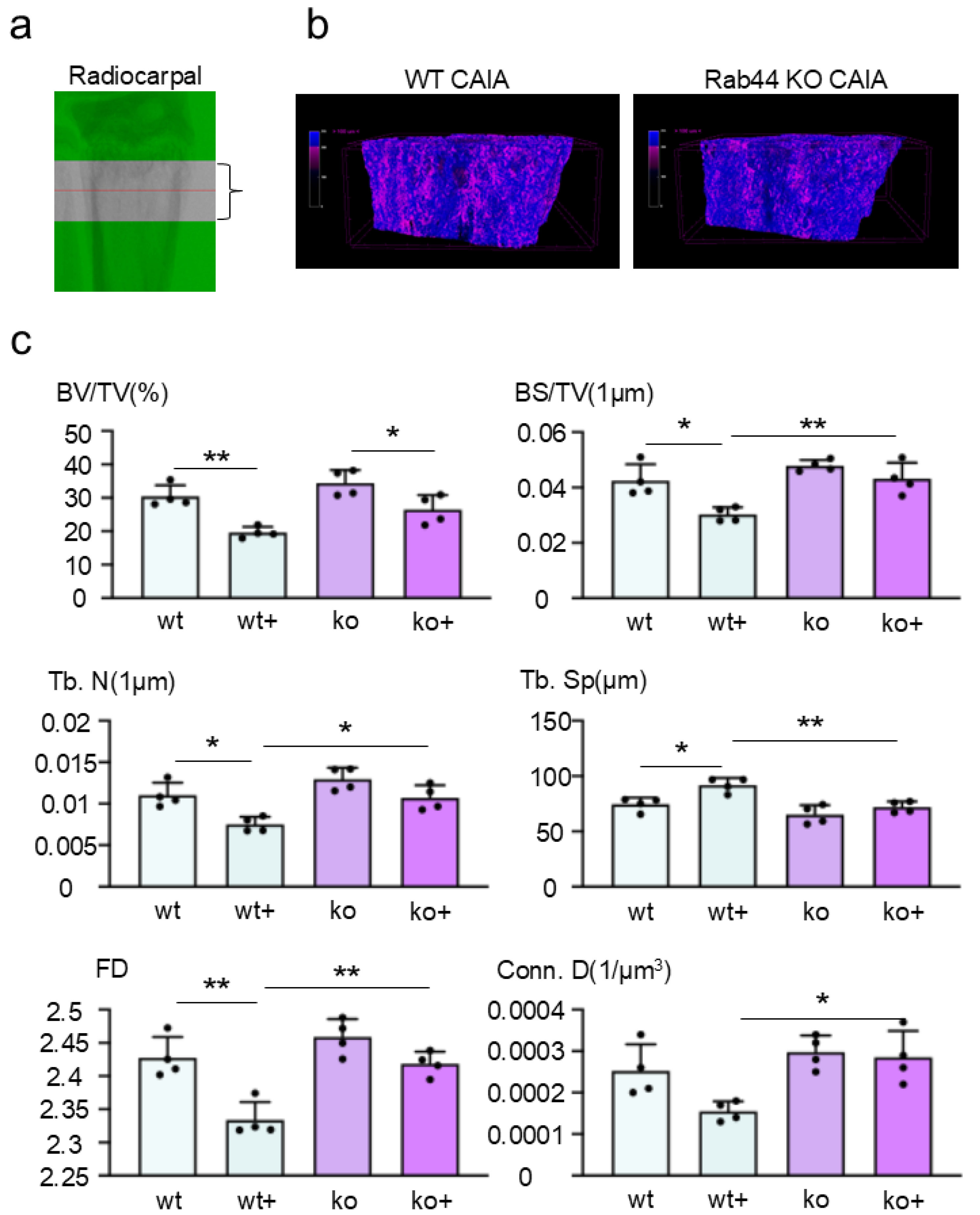 Biomedicines 12 02504 g005