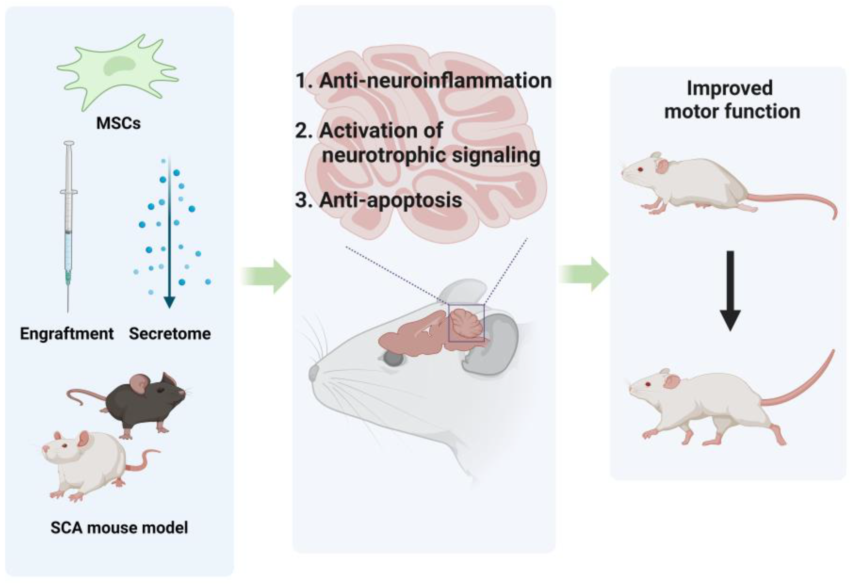 Biomedicines 12 02507 g002