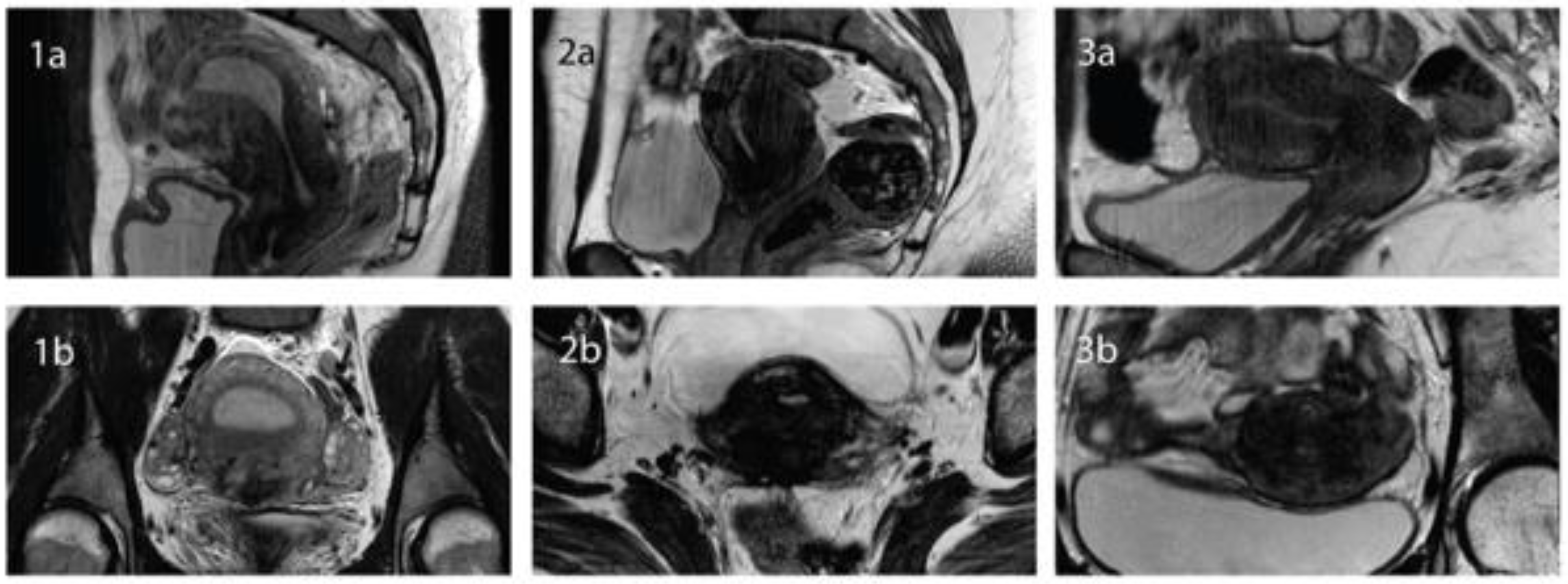 Biomedicines 12 02527 g001