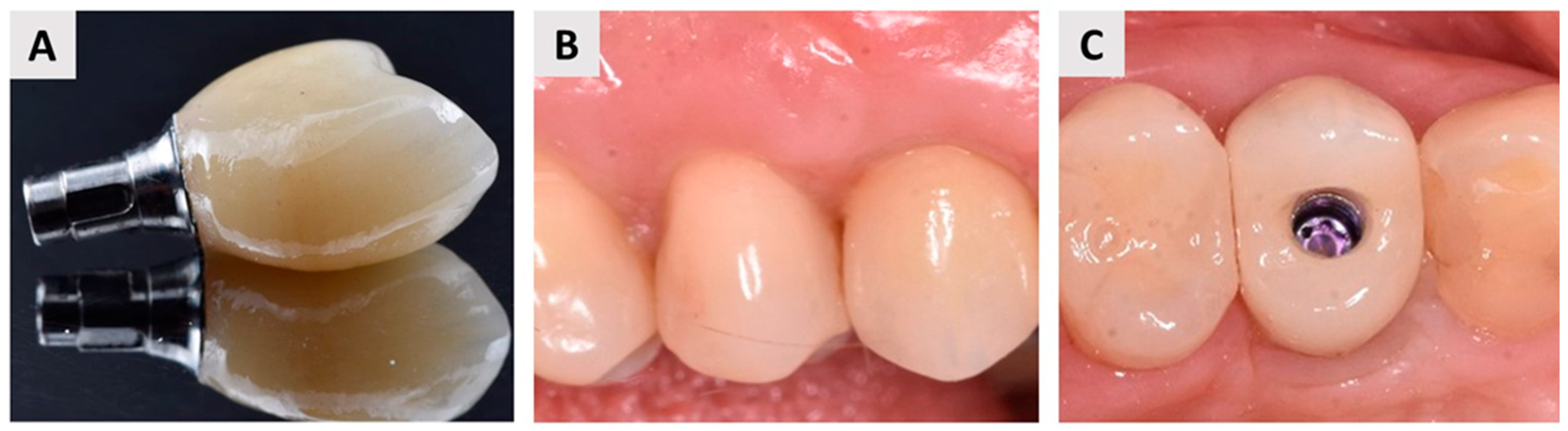 Biomedicines 12 02537 g009