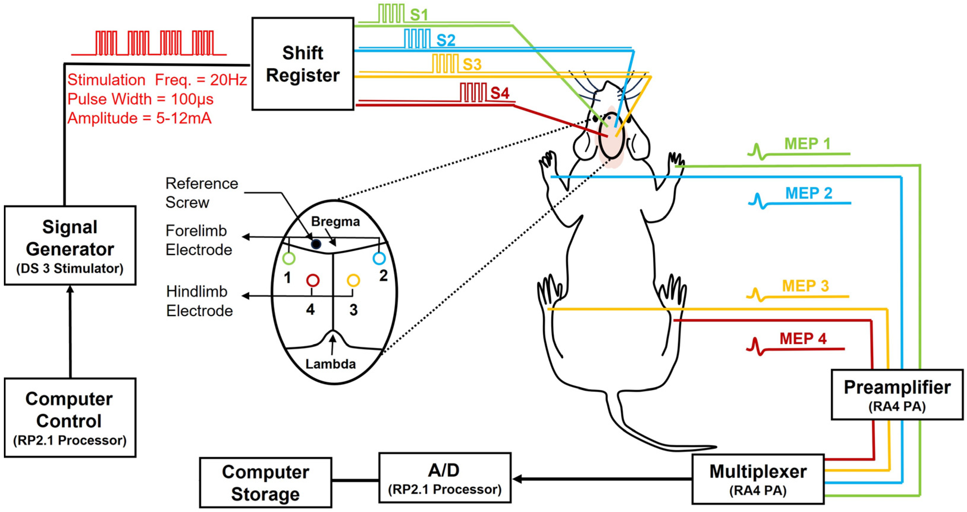 Biomedicines 12 02548 g001
